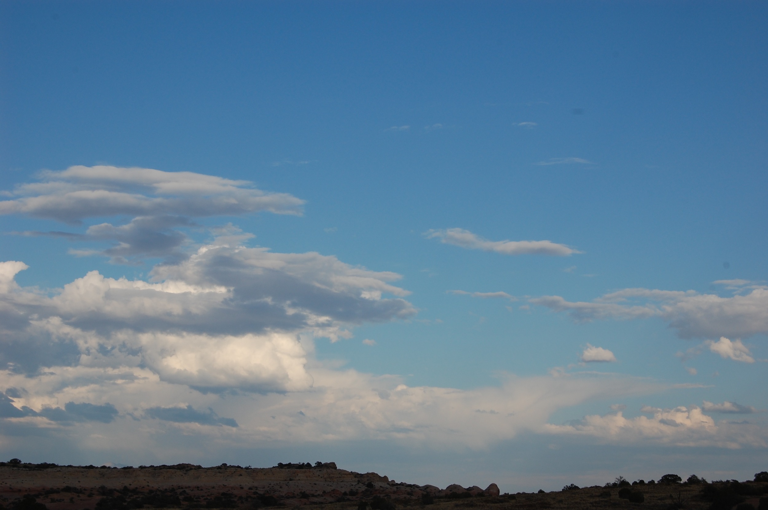 DSC_0734_2.jpg