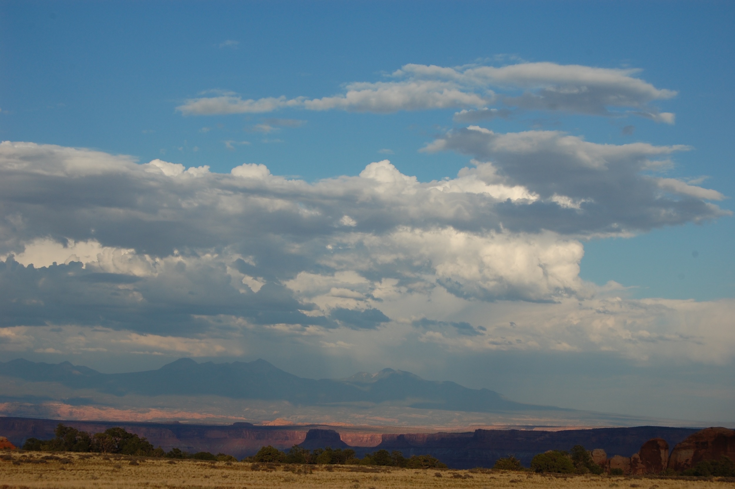 DSC_0735_2.jpg