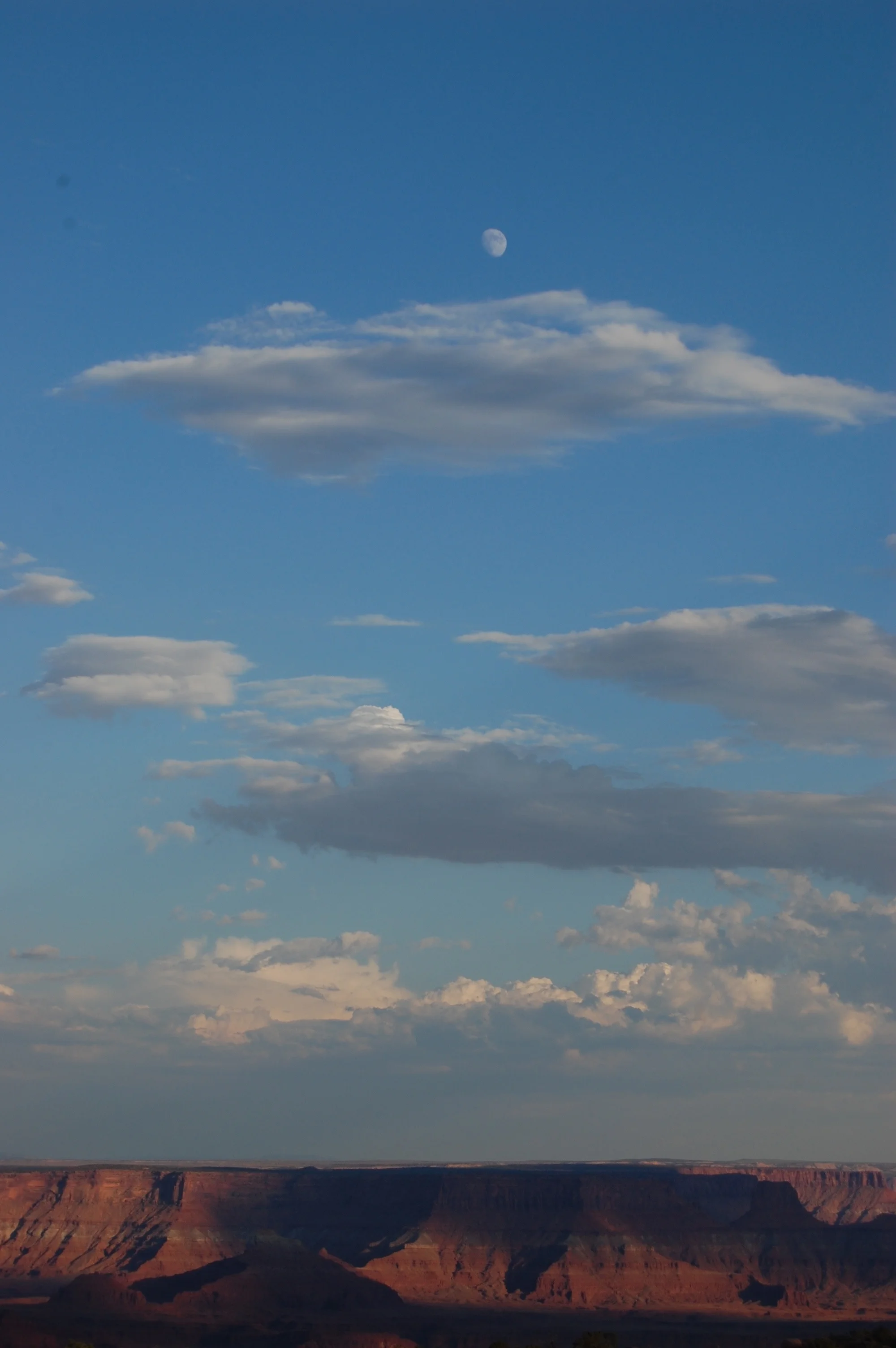 DSC_0749_2.jpg