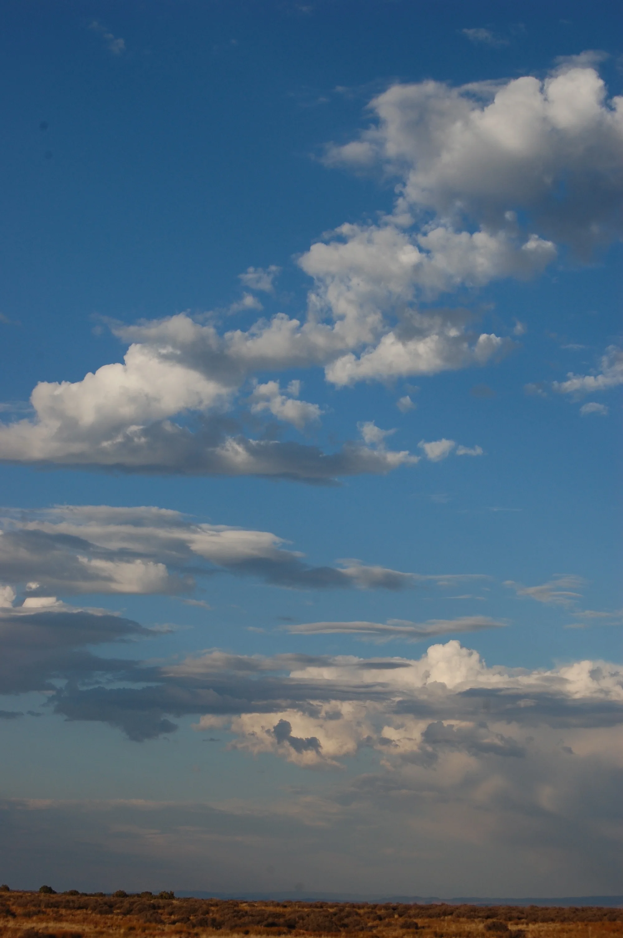 DSC_0752_2.jpg