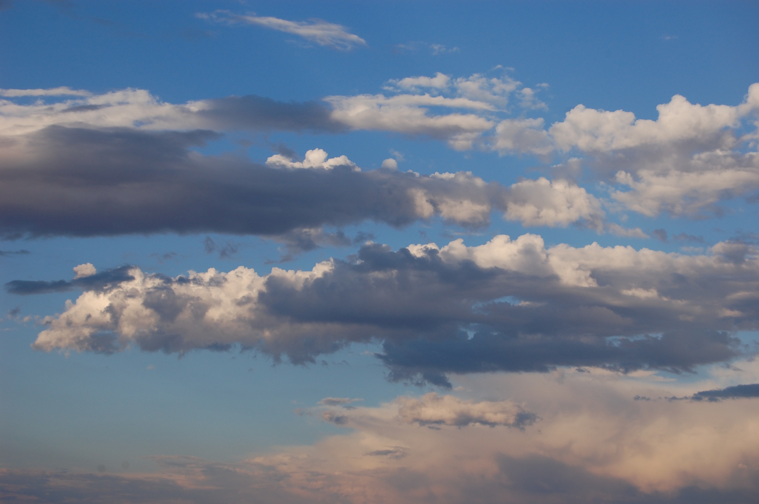 DSC_0764_2.jpg