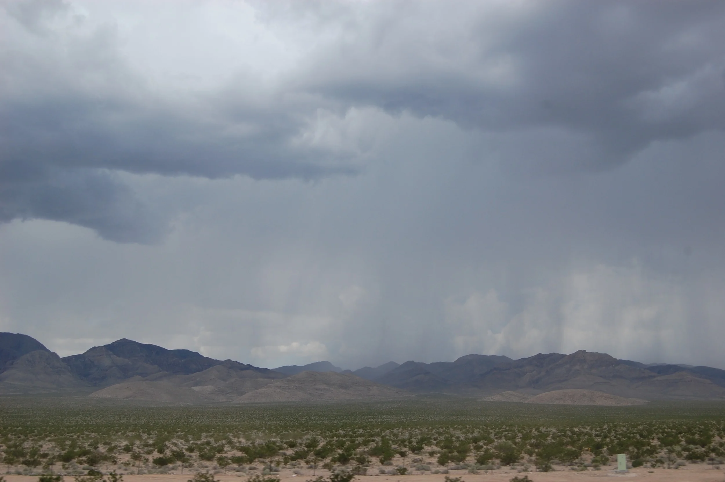DSC_0891.jpg