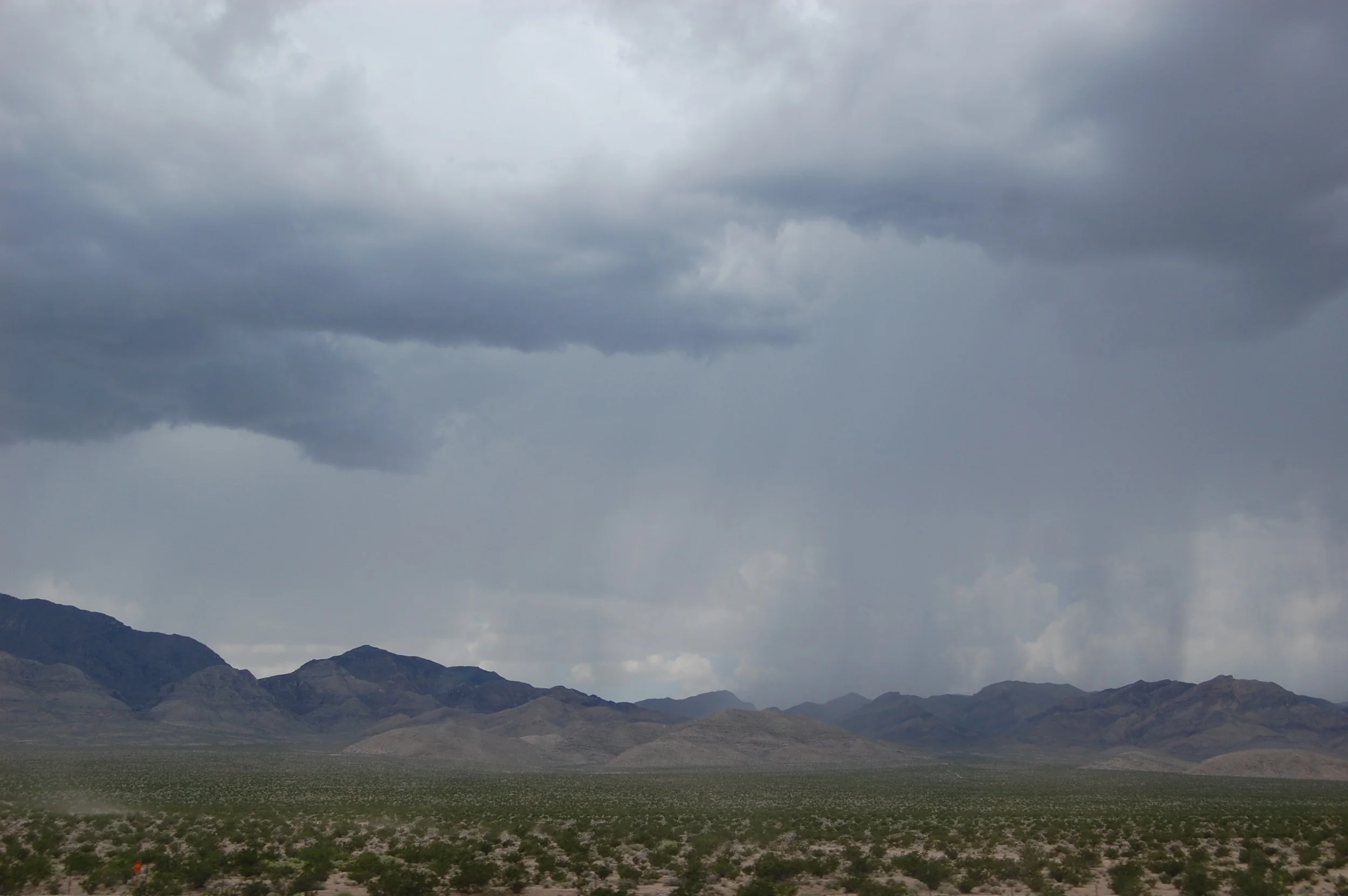 DSC_0893.jpg