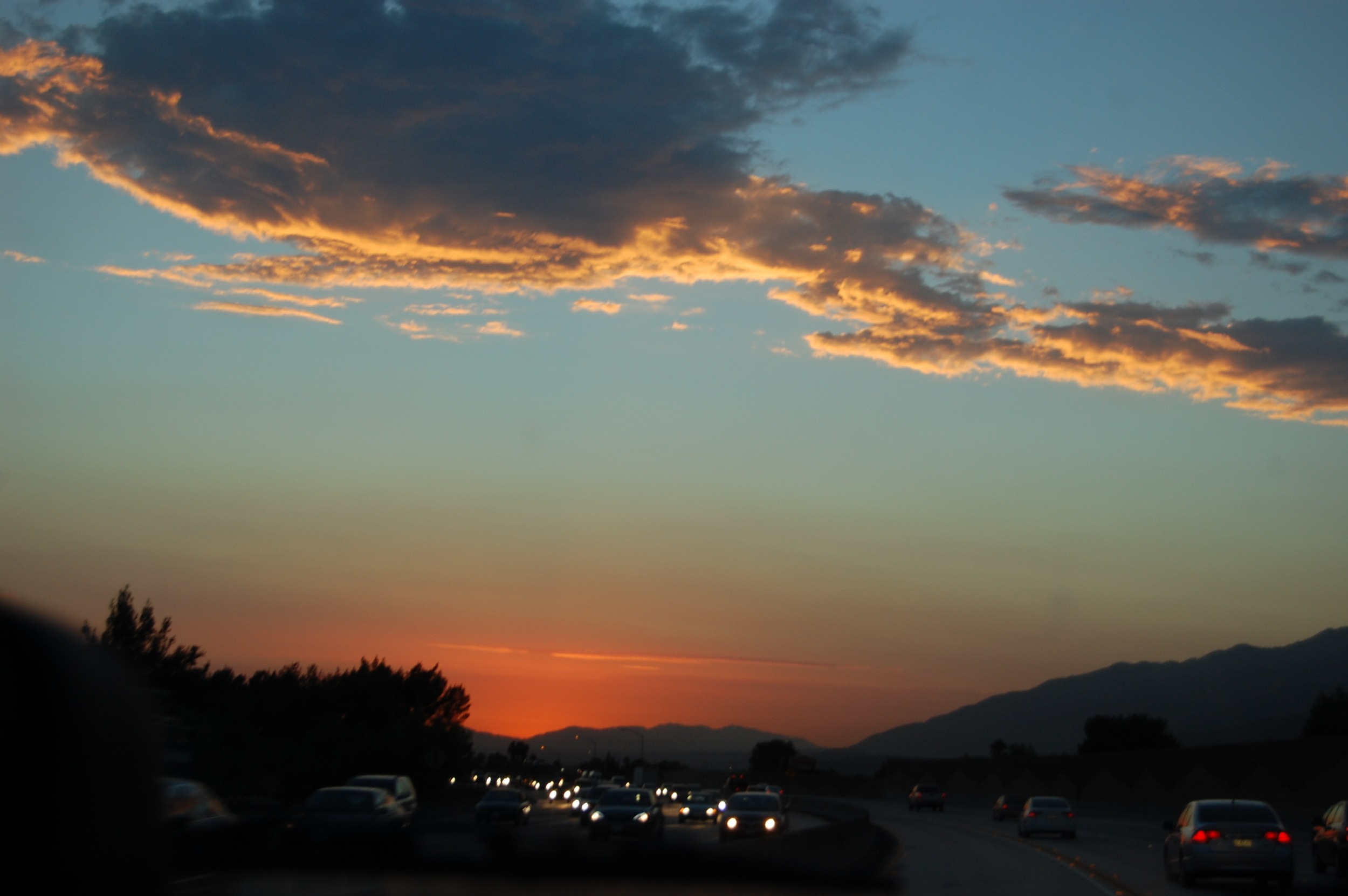 DSC_0925.jpg