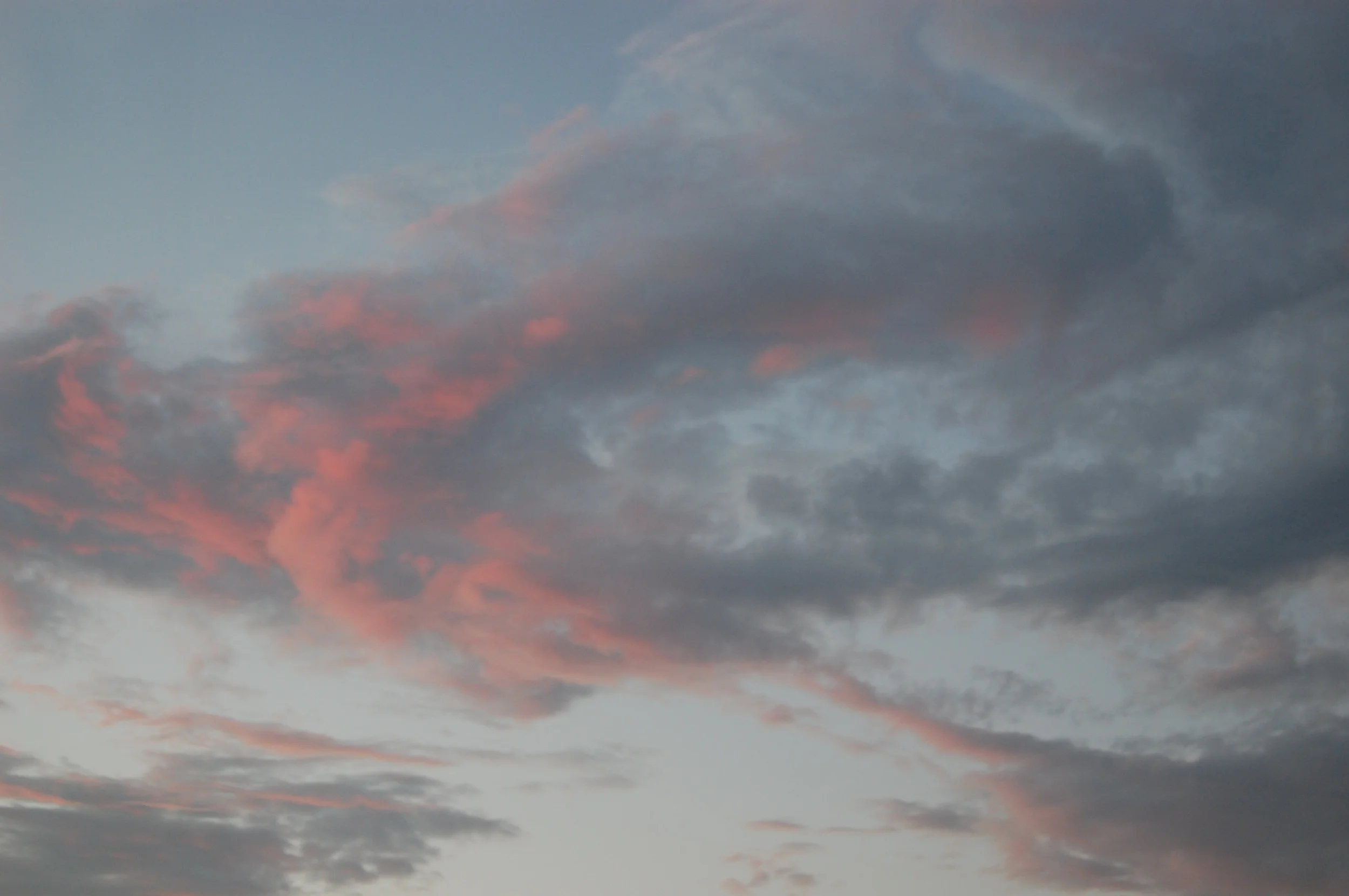 DSC_0933.jpg