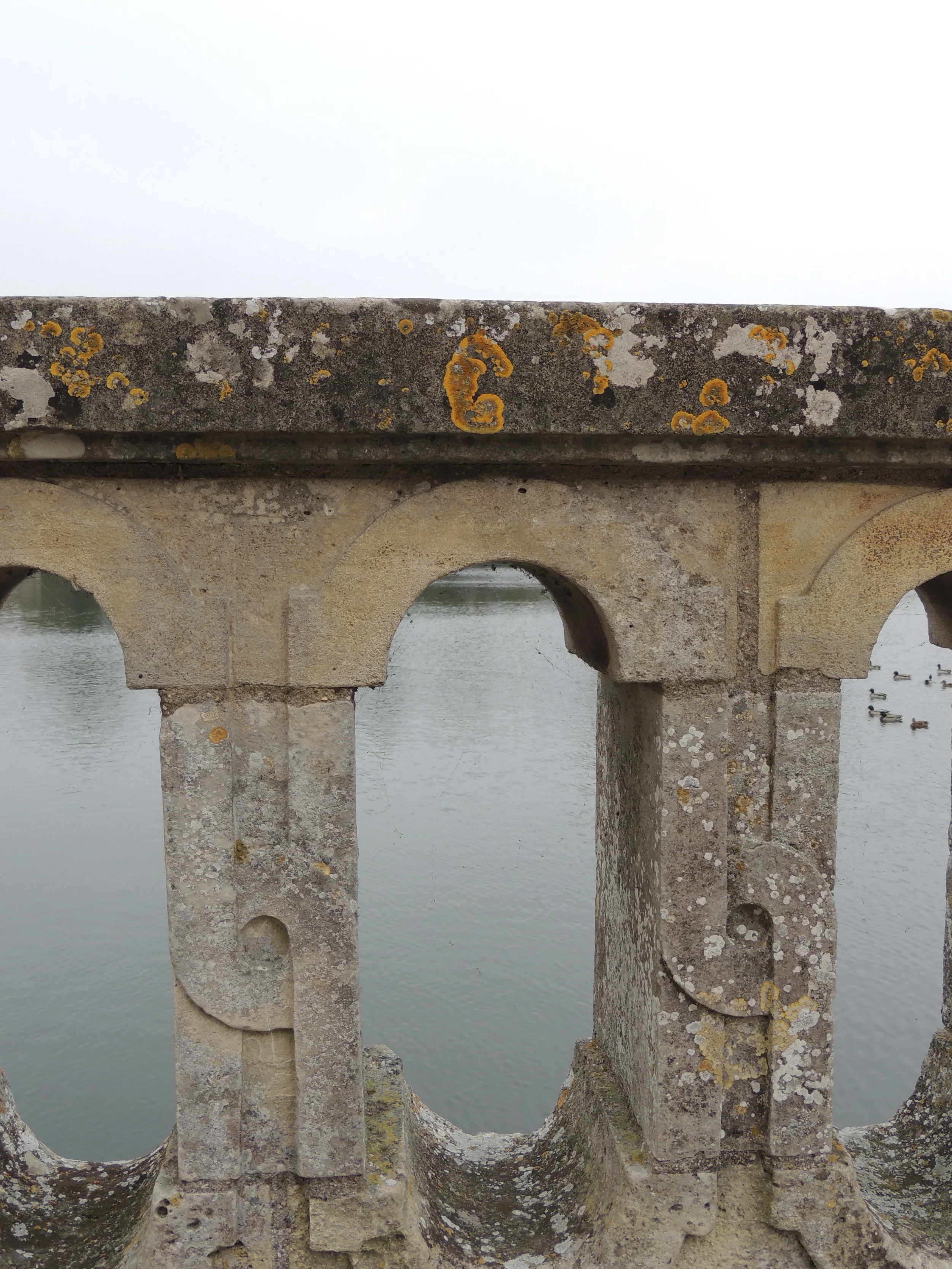 DSCN2519.JPG