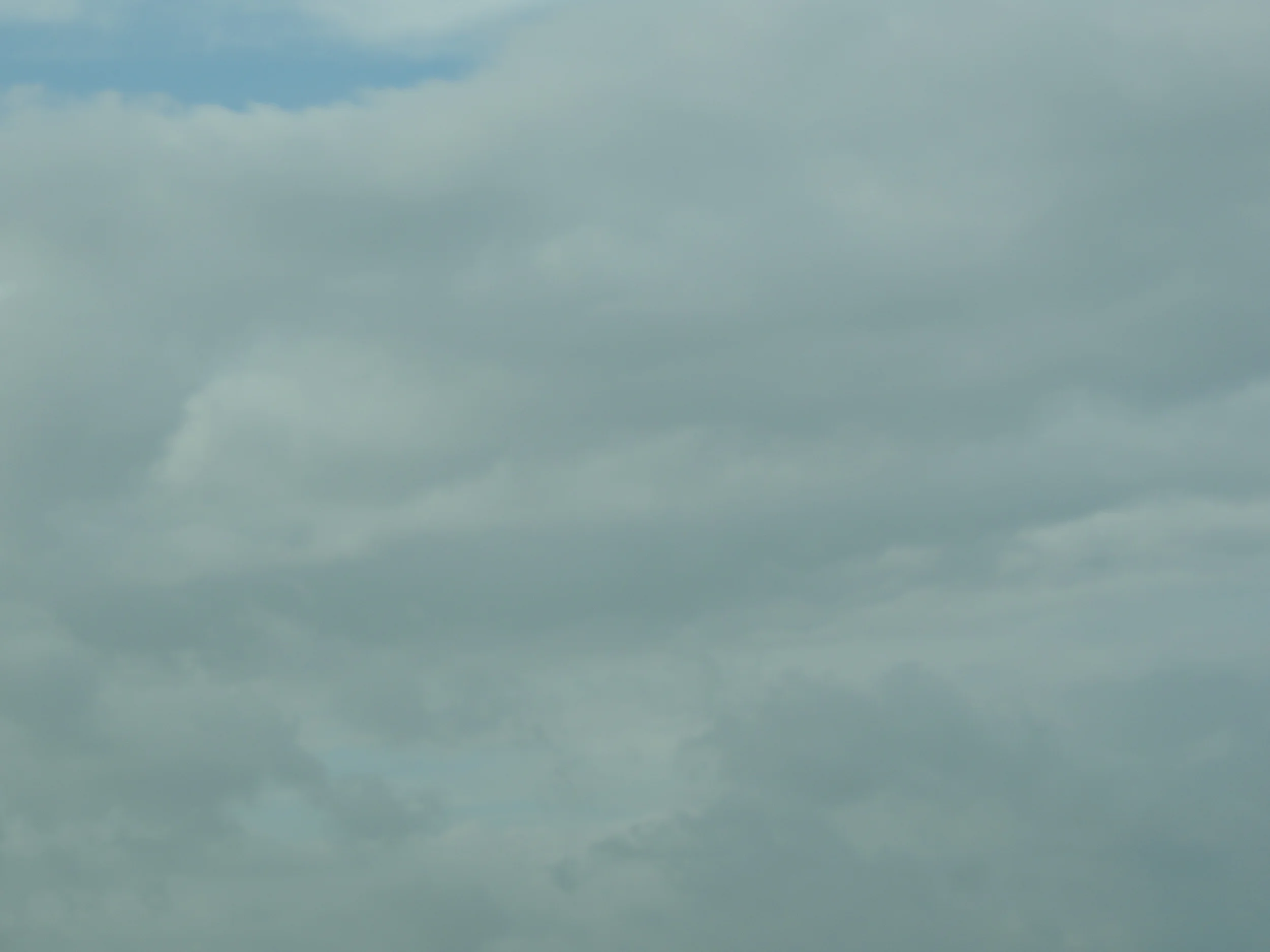 DSCN0268.JPG
