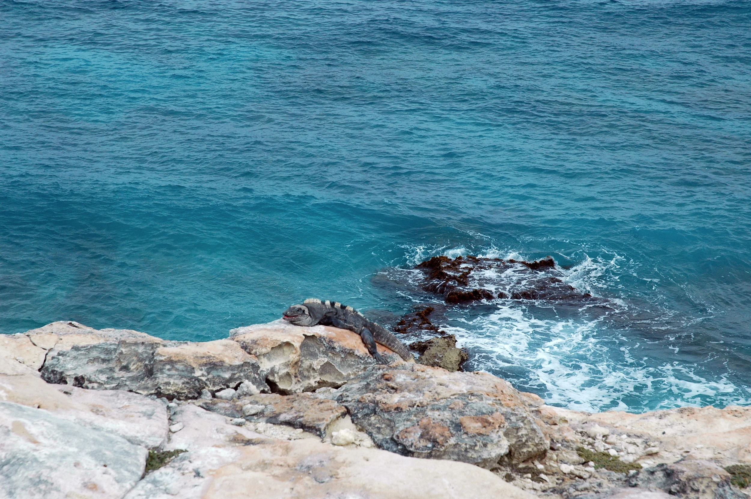 DSC_0563.JPG