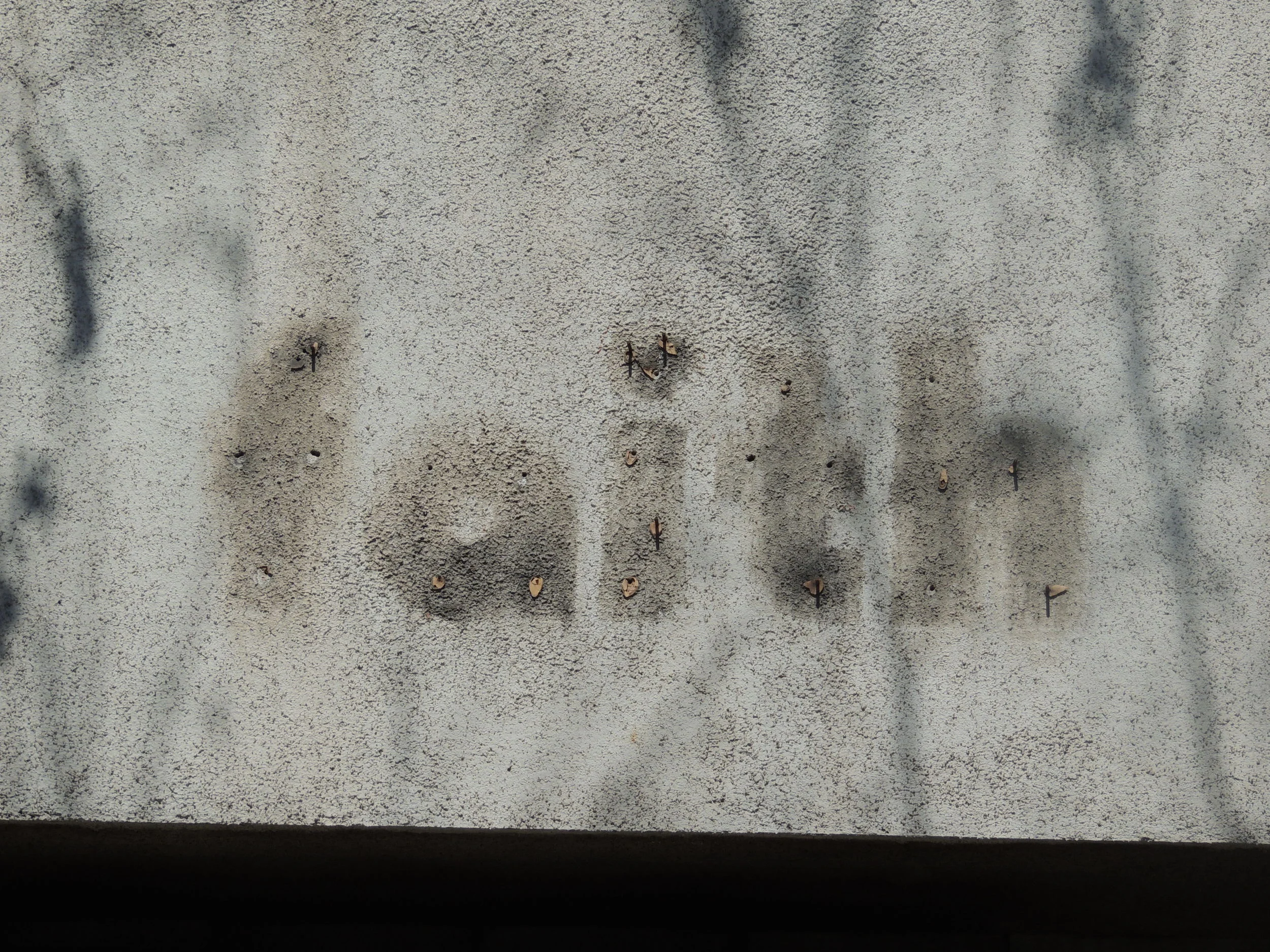 DSCN3492.JPG