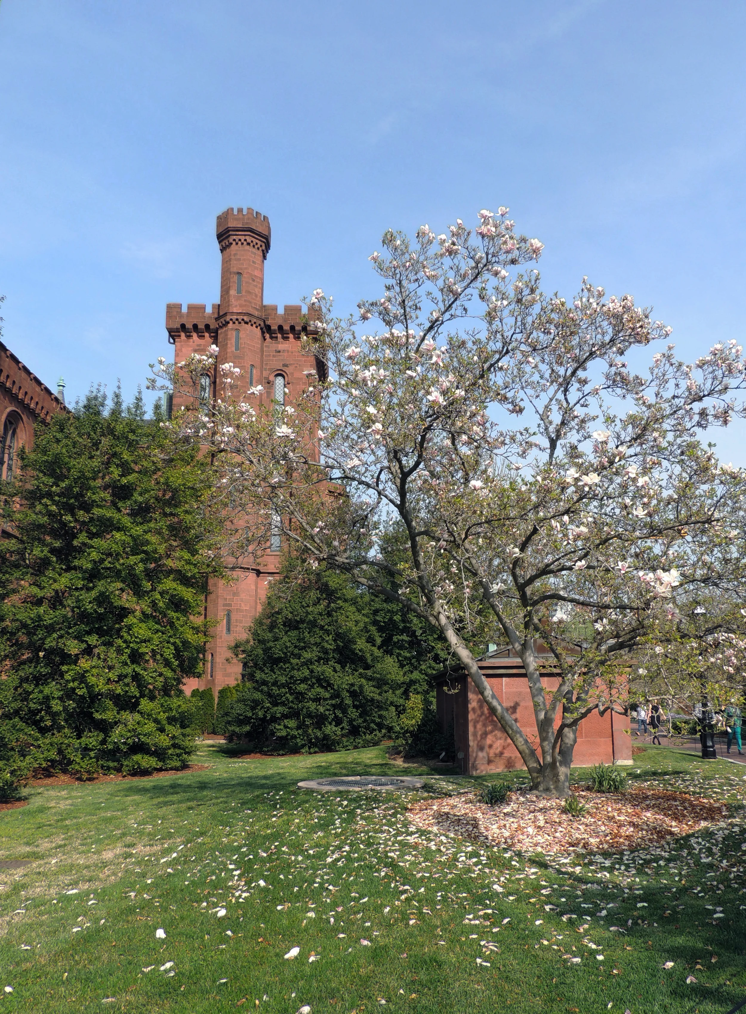 DSCN4130.JPG