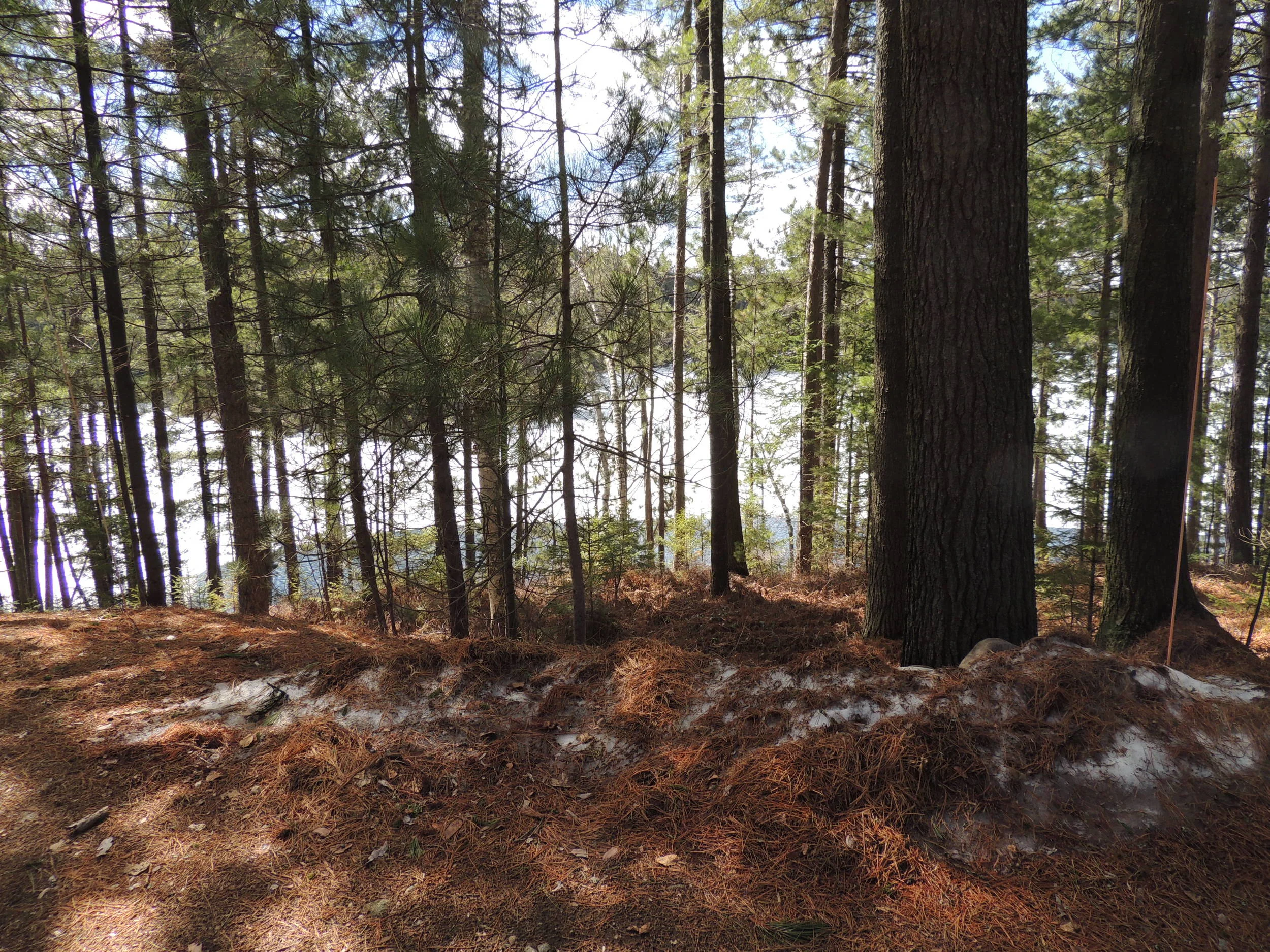 DSCN4559.JPG