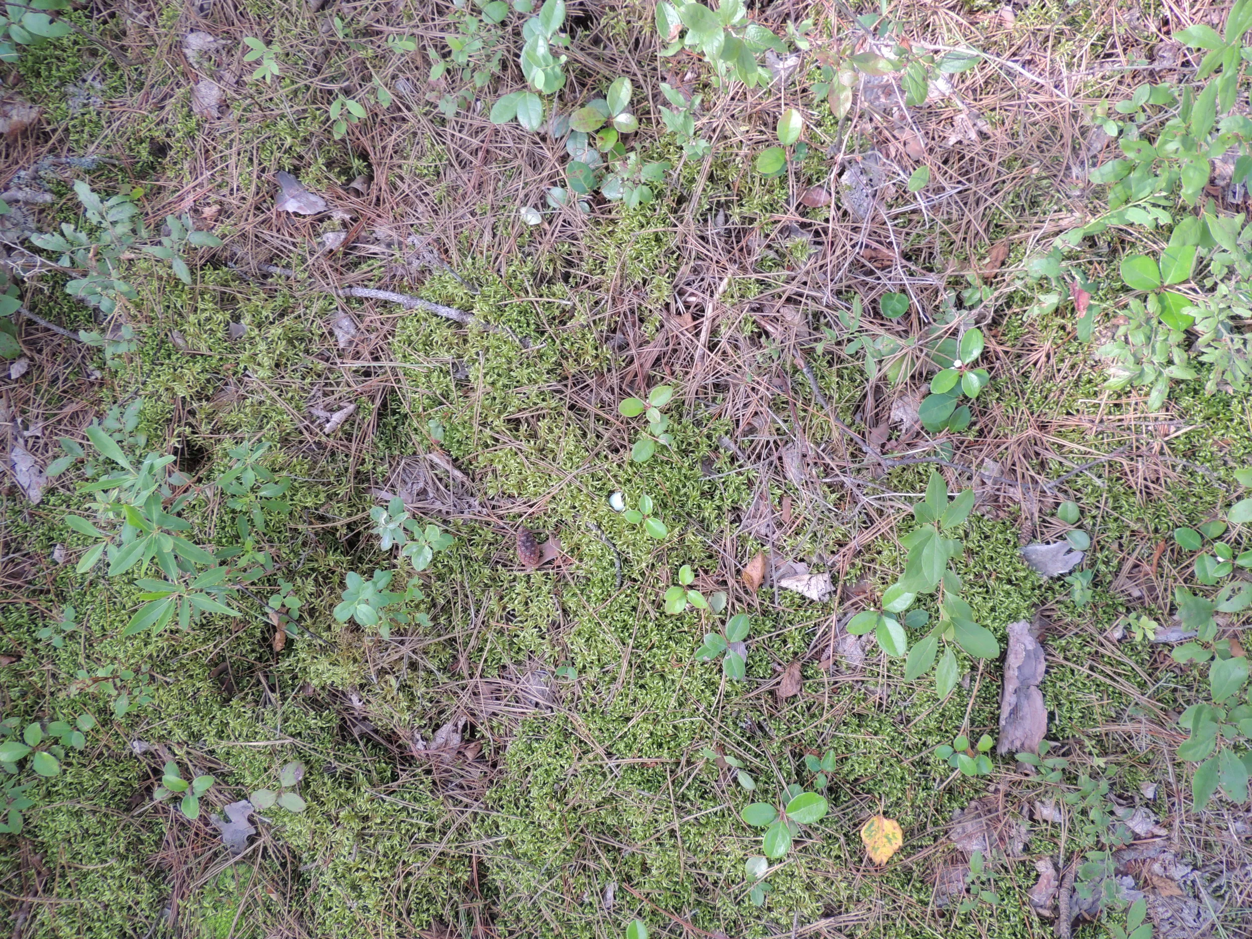 DSCN7402.JPG