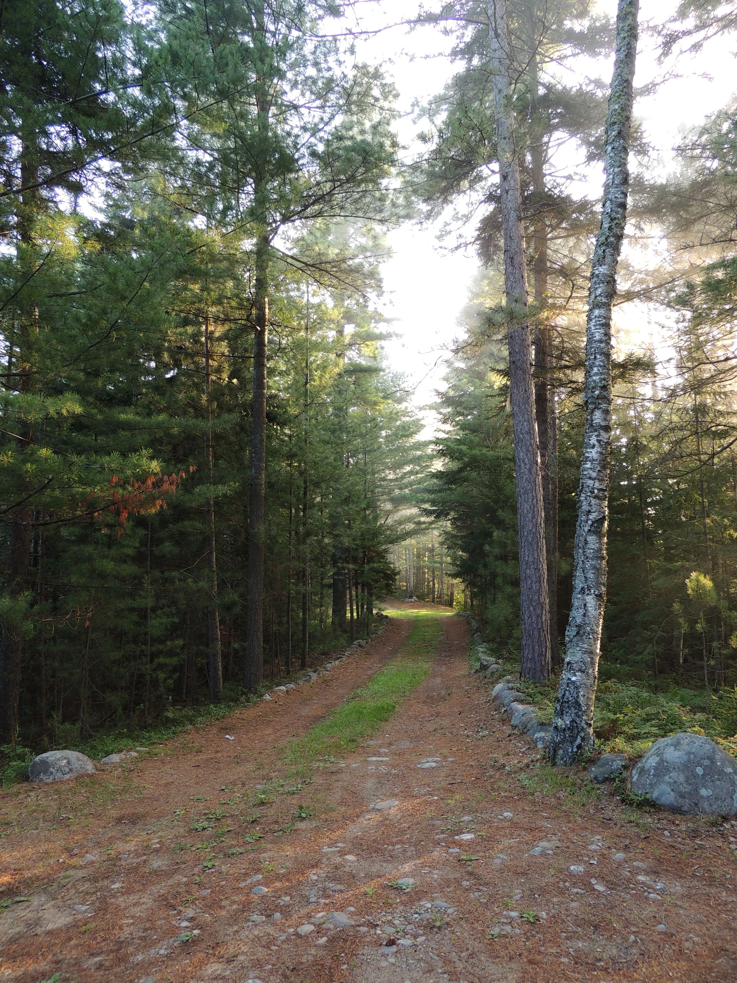 DSCN7638.JPG