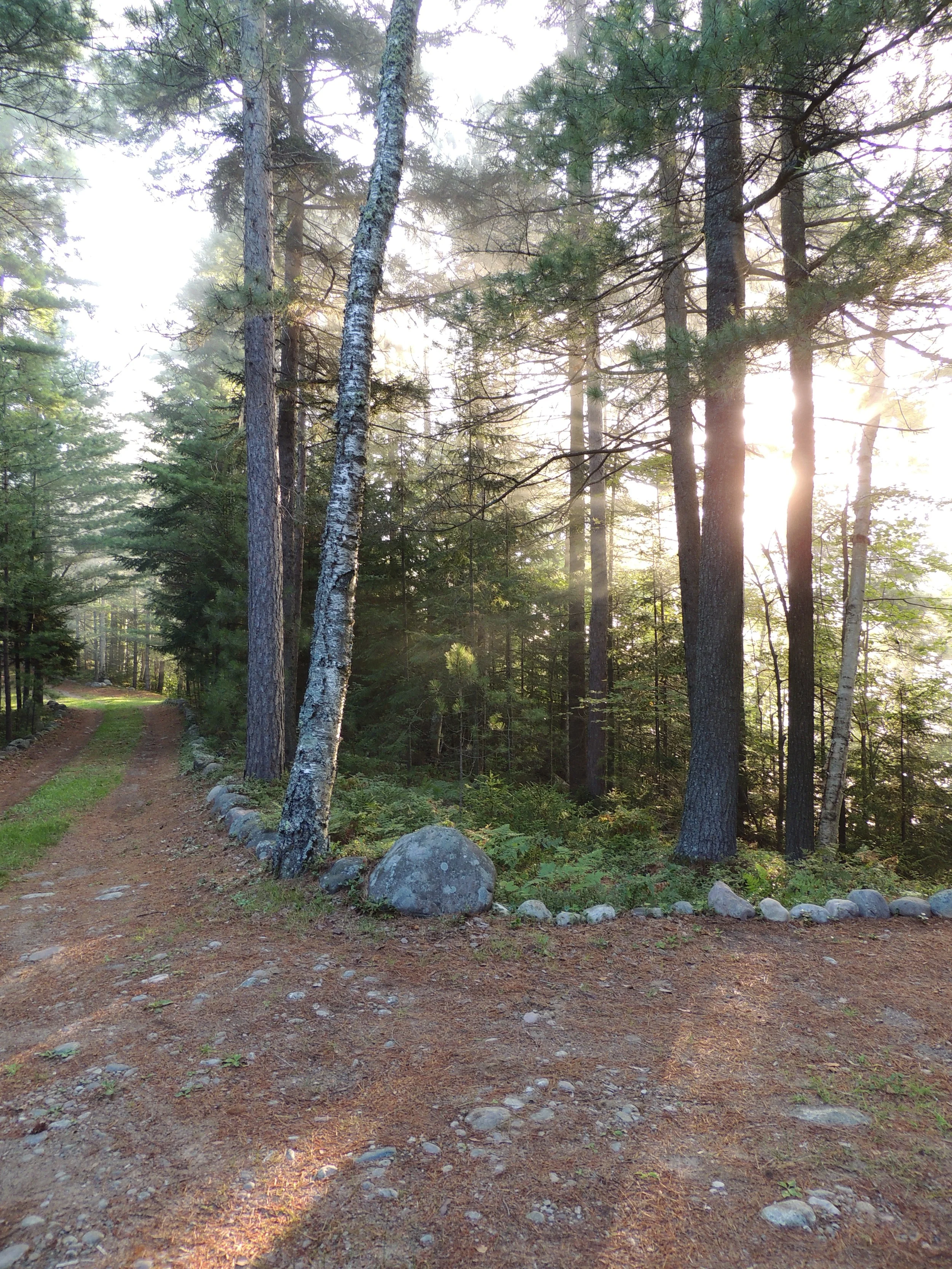 DSCN7639.JPG