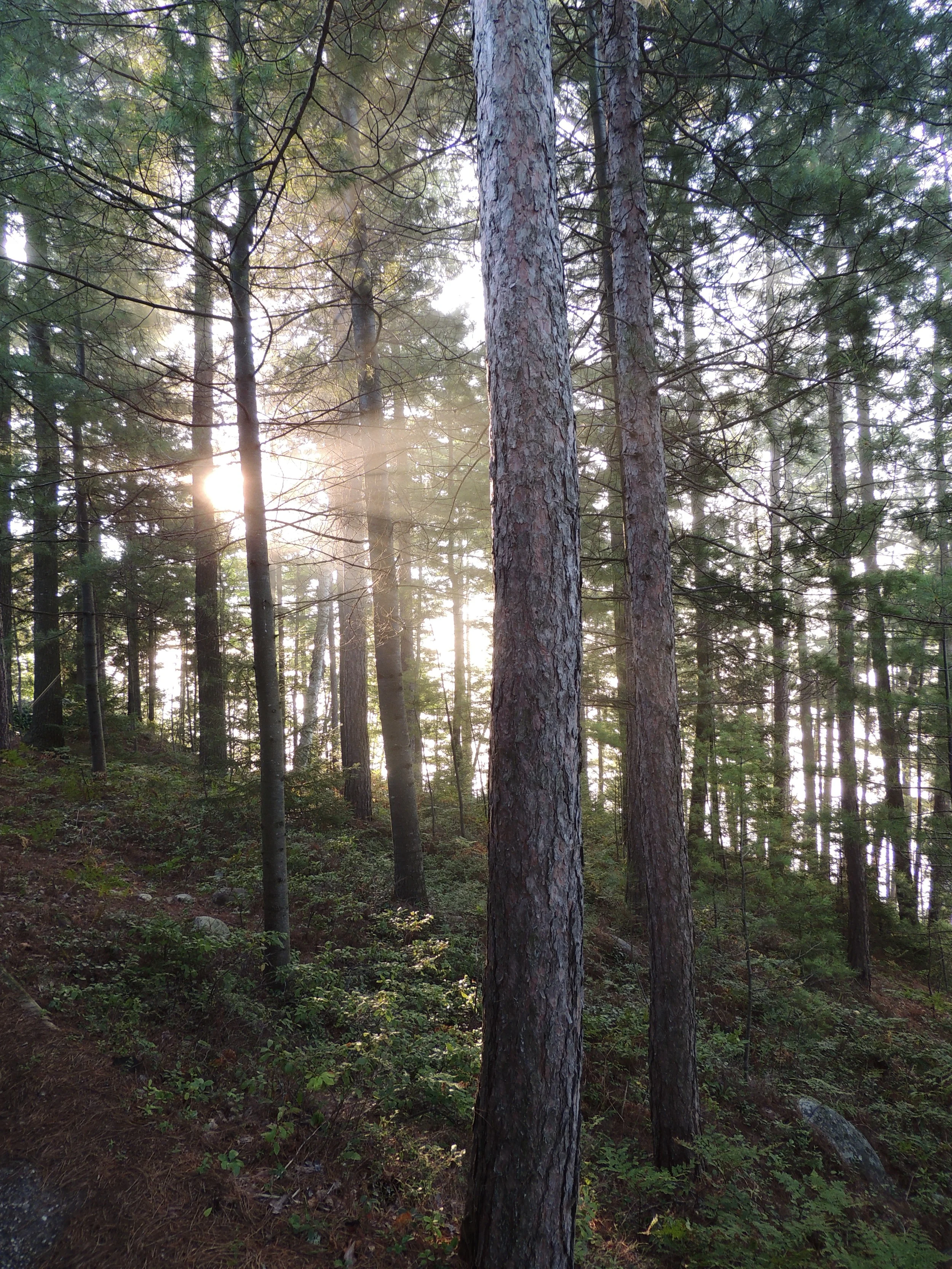 DSCN7649.JPG