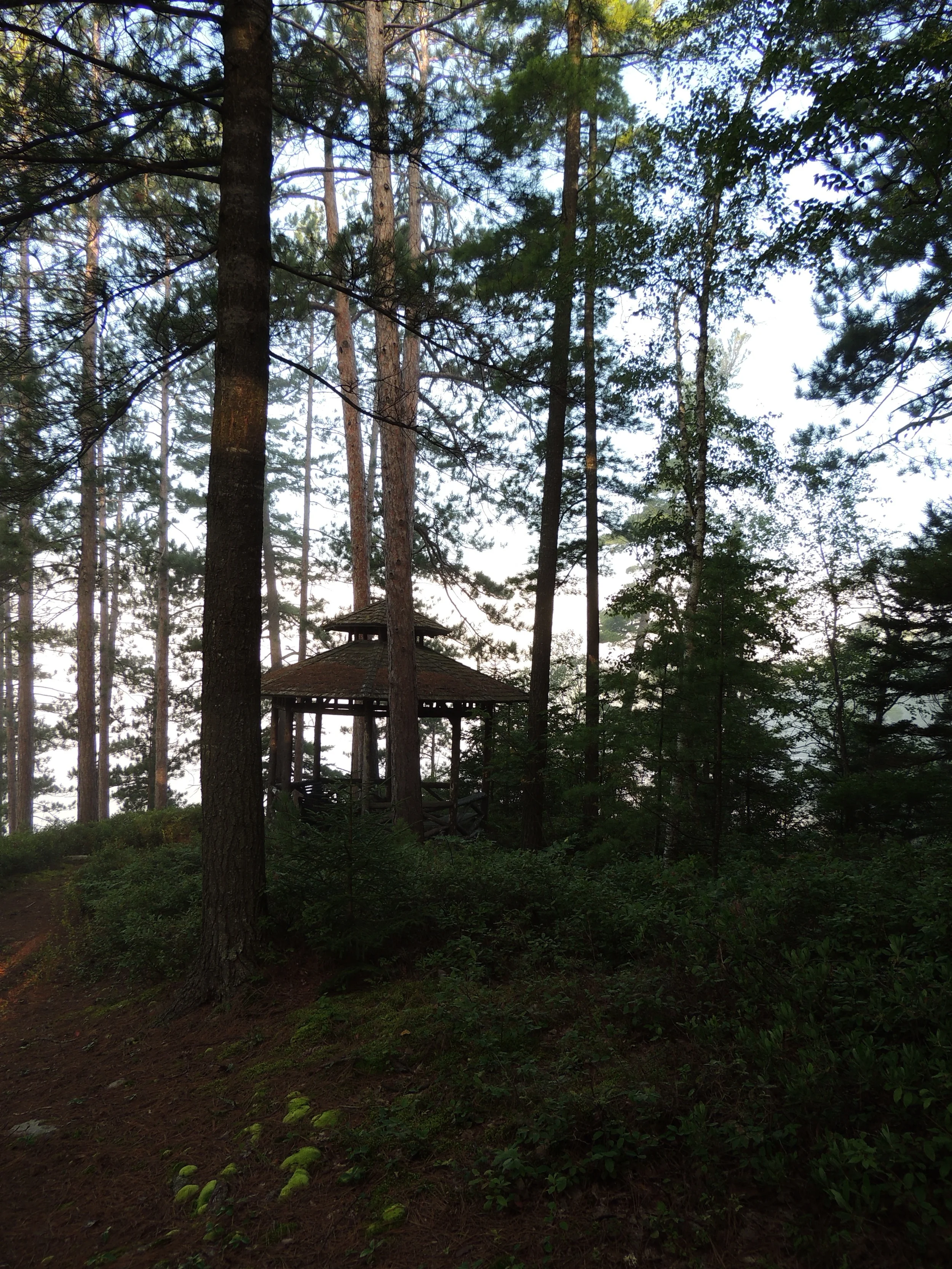 DSCN7650.JPG