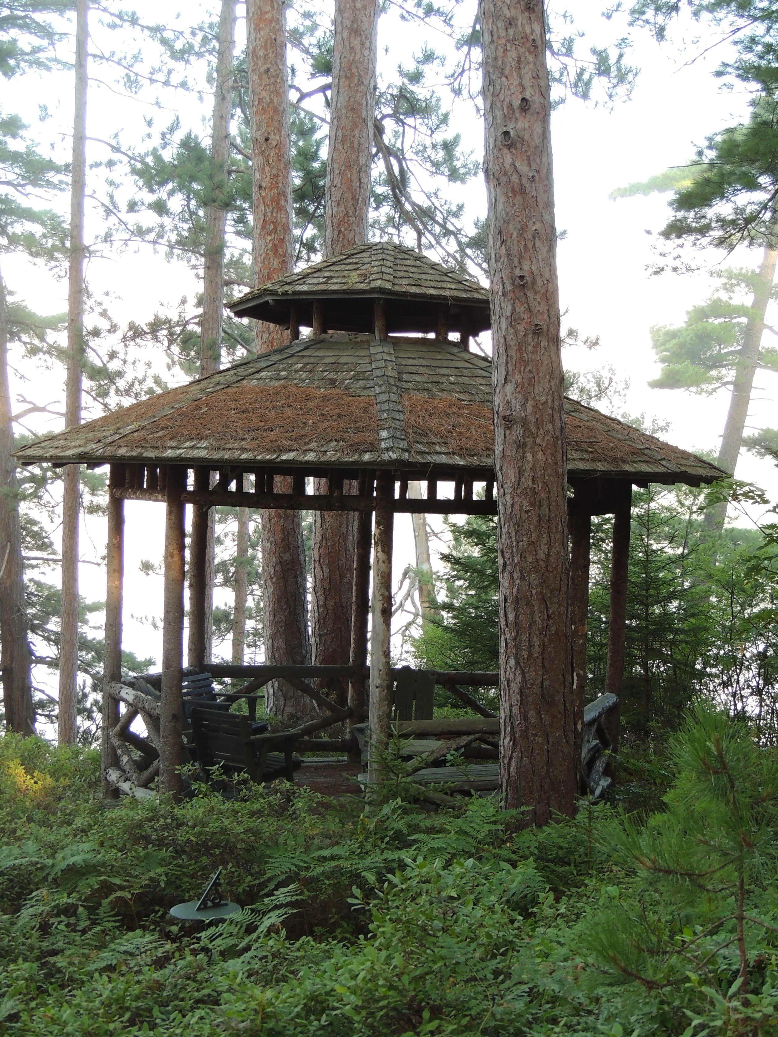 DSCN7654.JPG