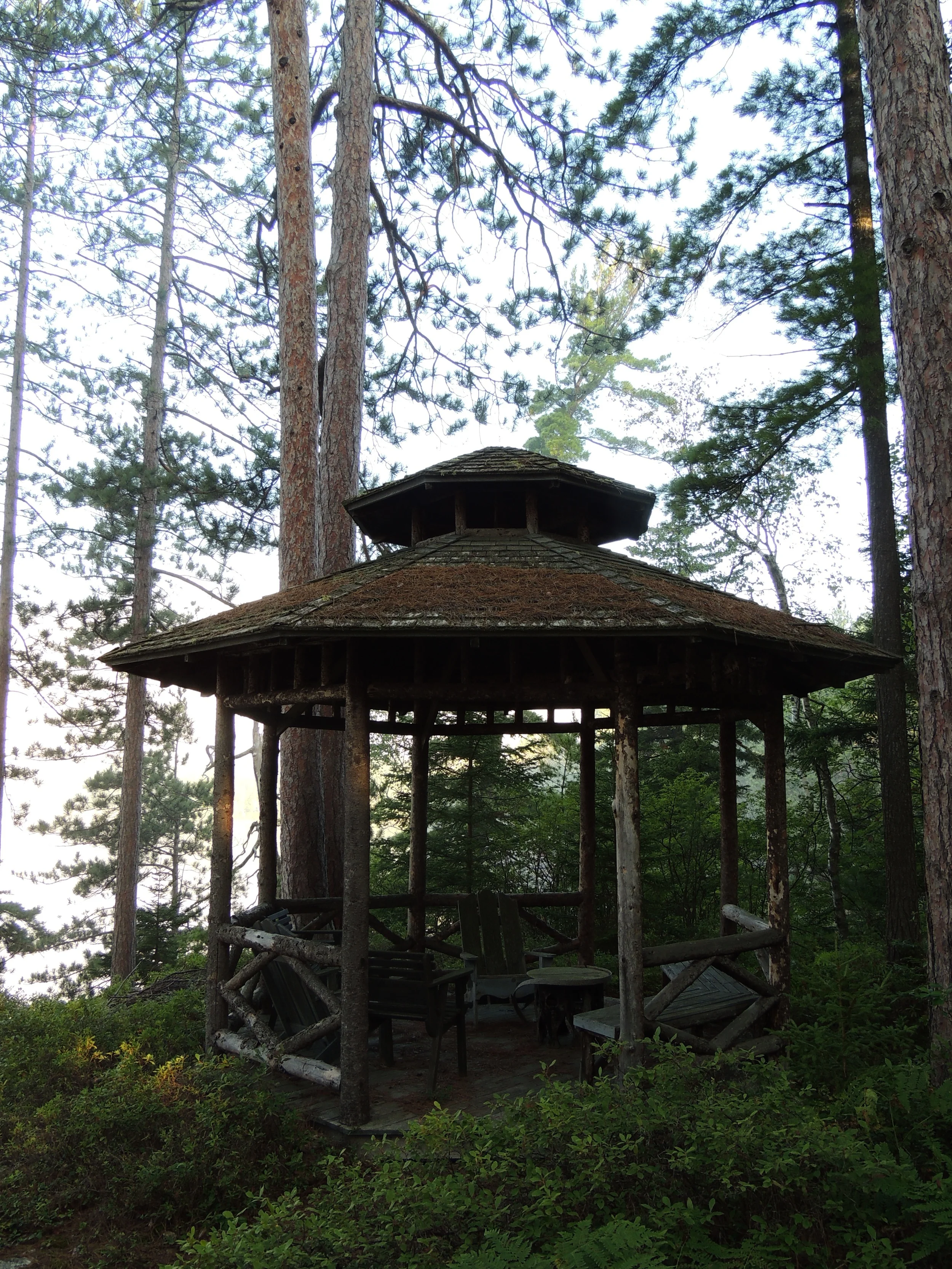 DSCN7659.JPG