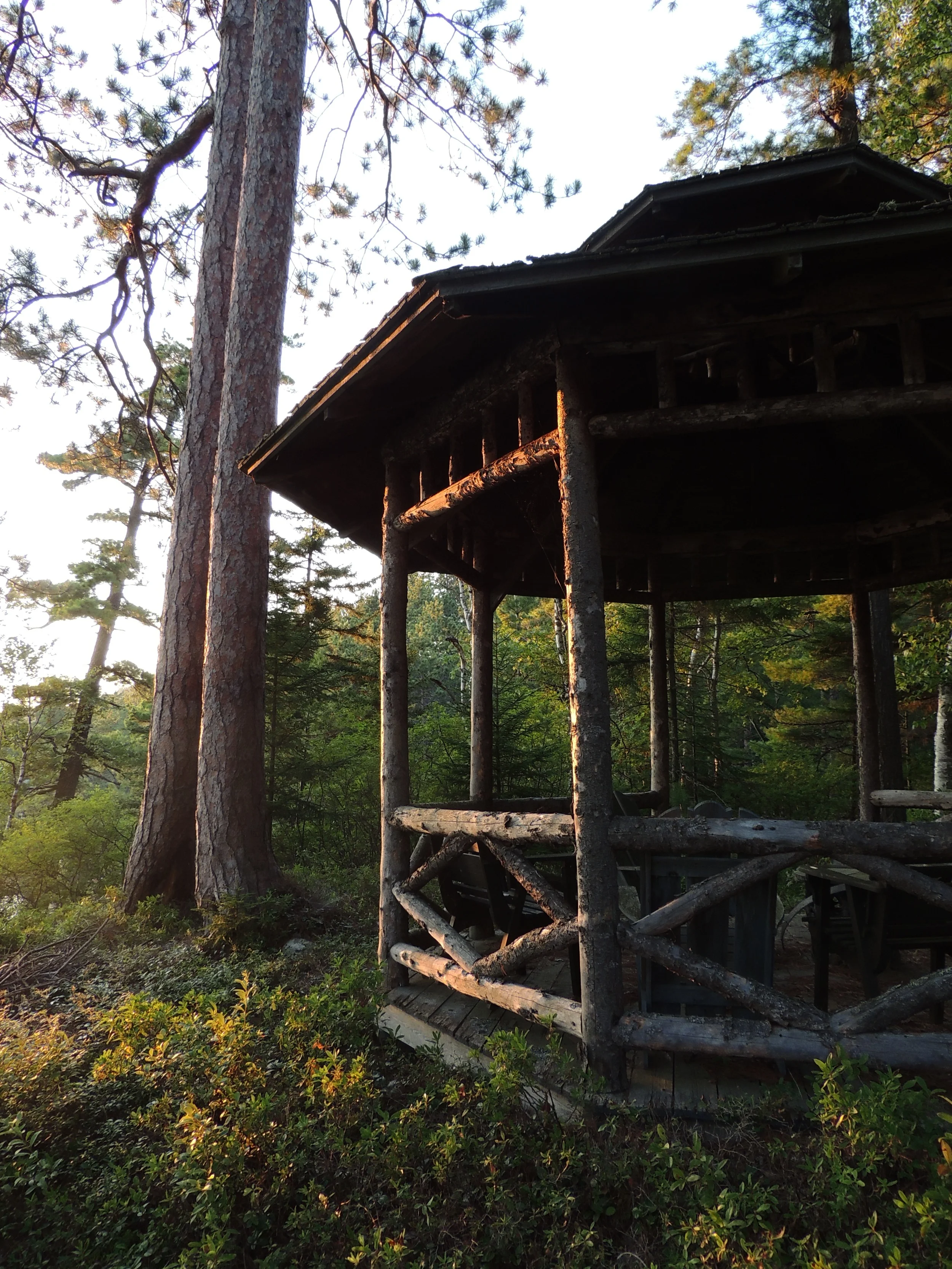 DSCN7715.JPG