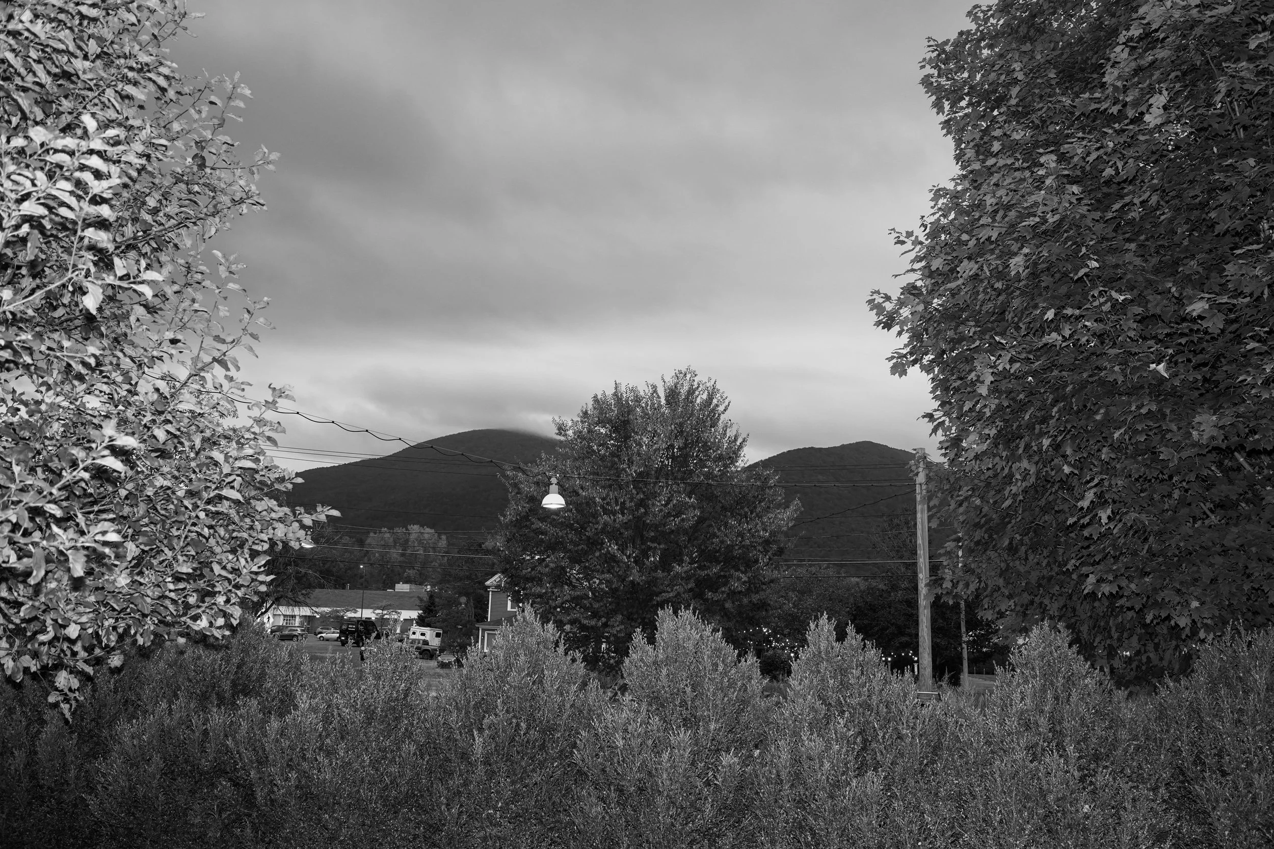 DSC02389.JPEG