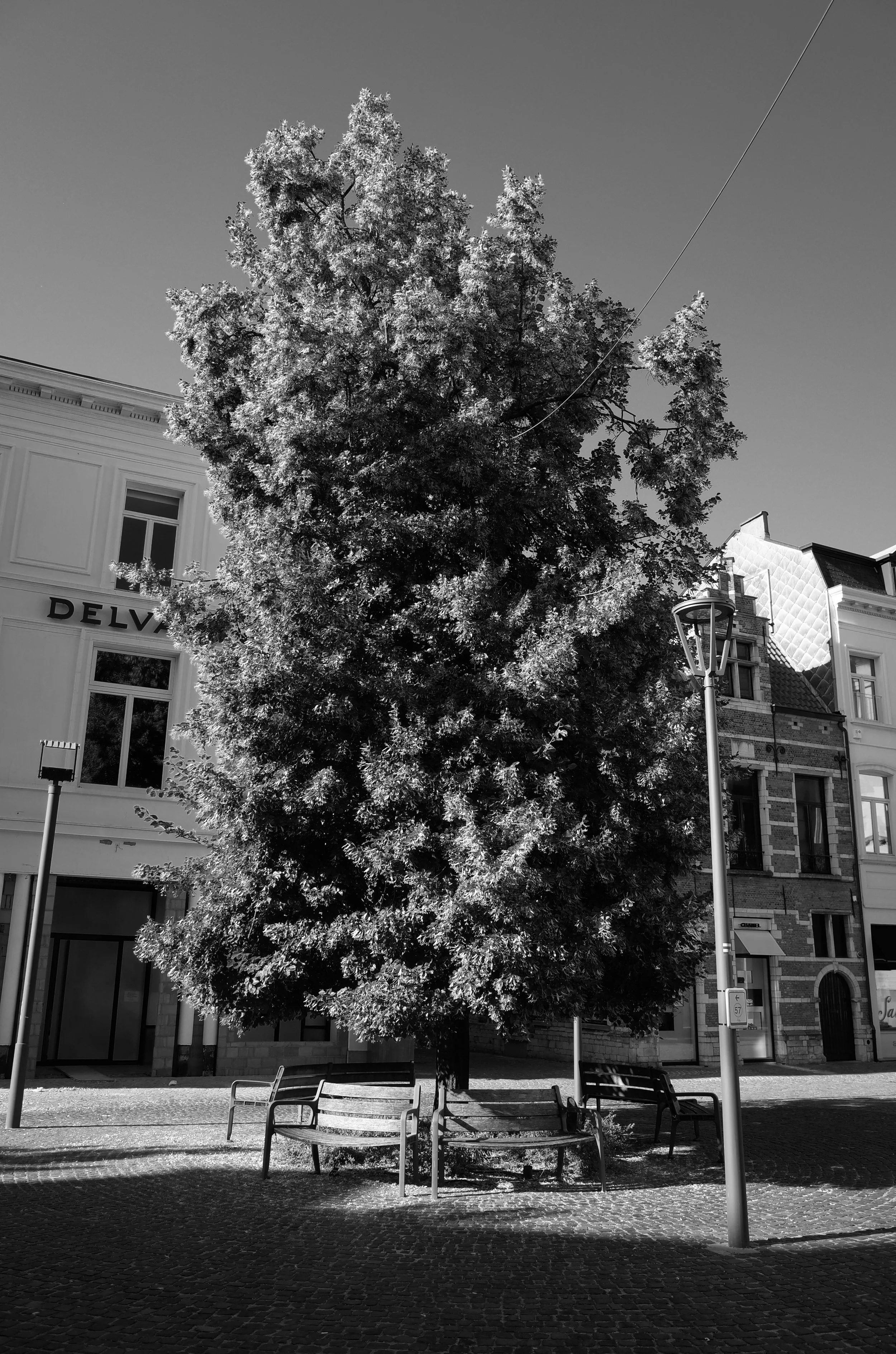 R0001322.JPEG