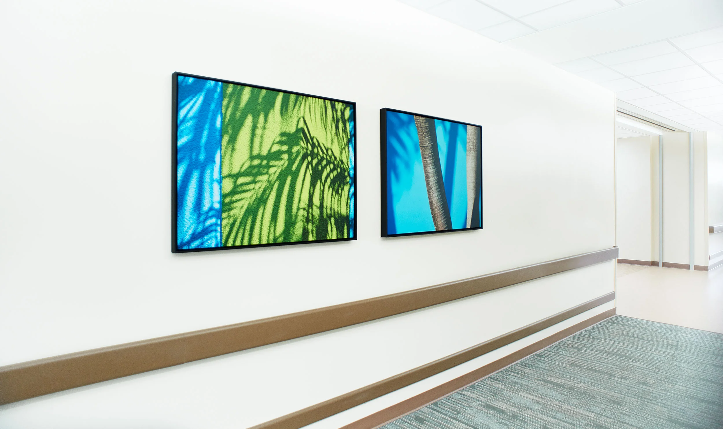 health care art Cynthia Holling-Morris_DSC1005.jpg
