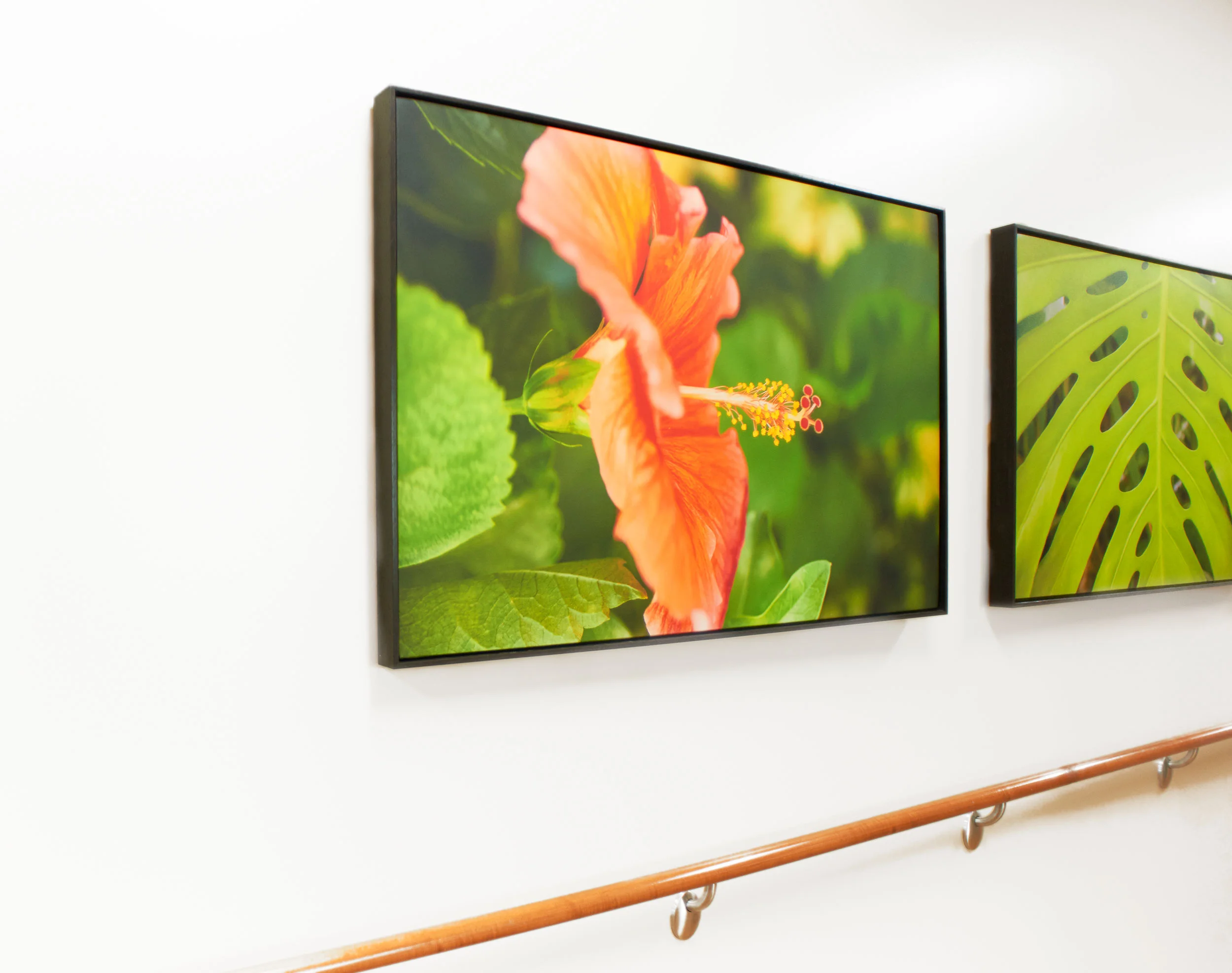 health care art Cynthia Holling-Morris_DSC1098.jpg