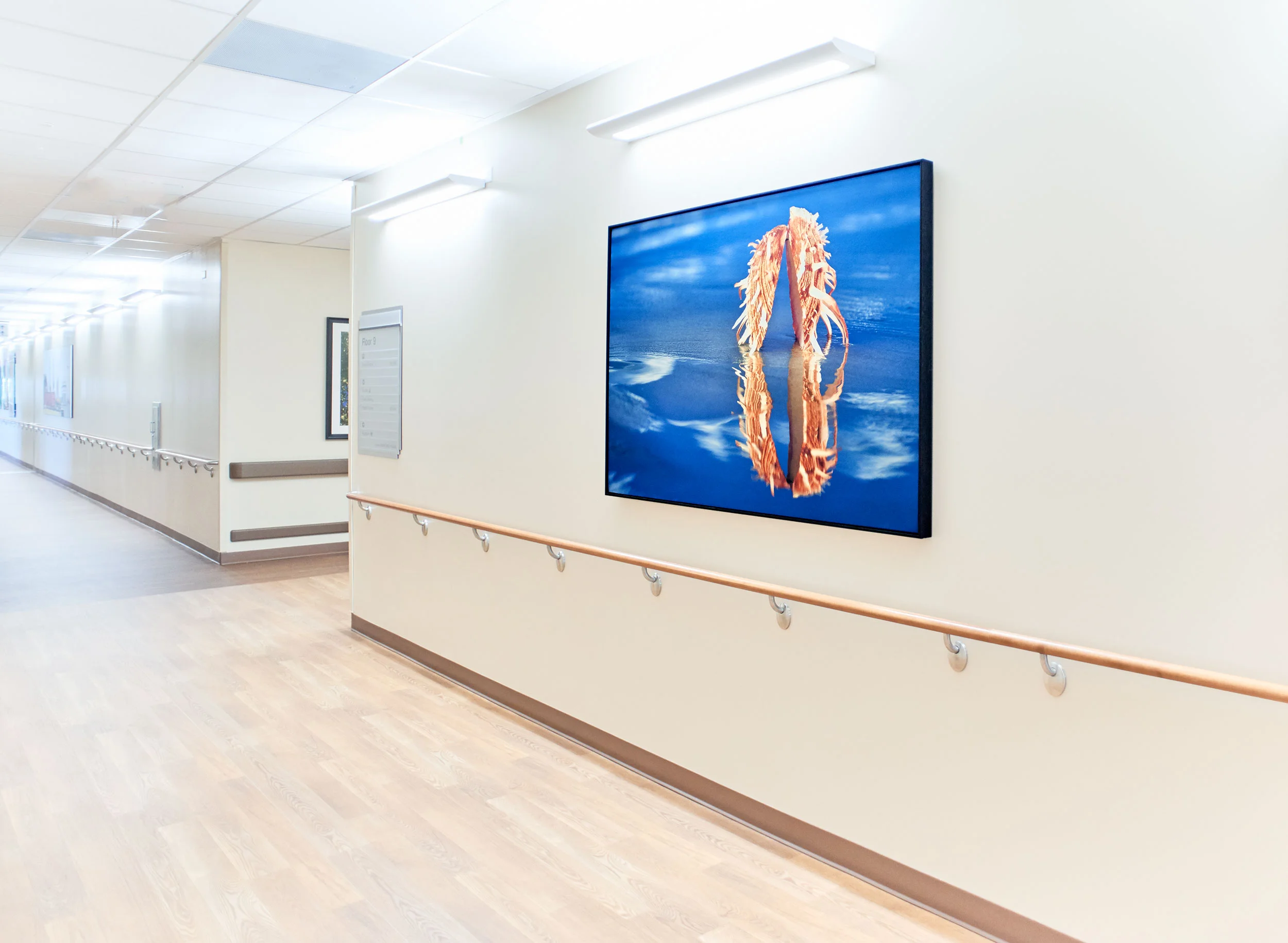 health care art Cynthia Holling-Morris_DSC1155.jpg