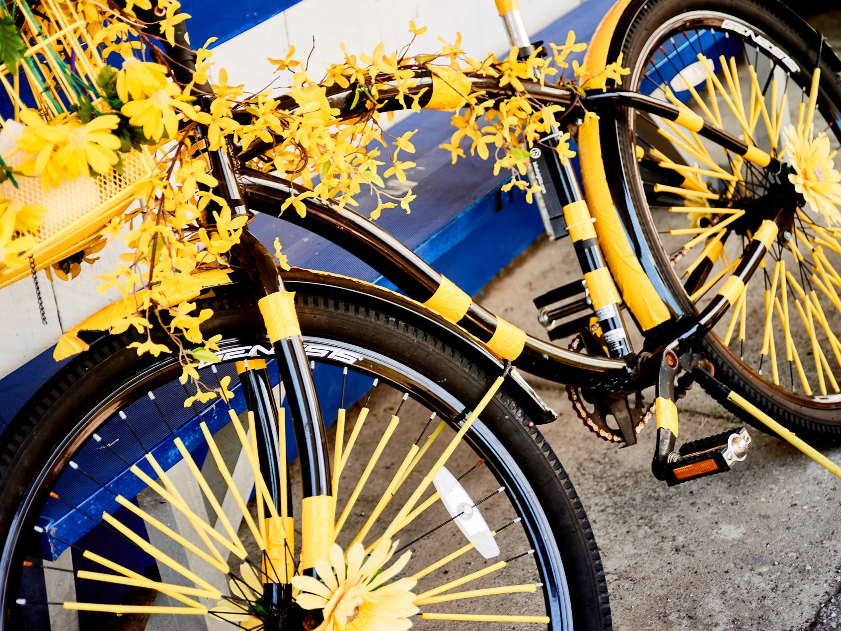 Bicycle_flowers_5219