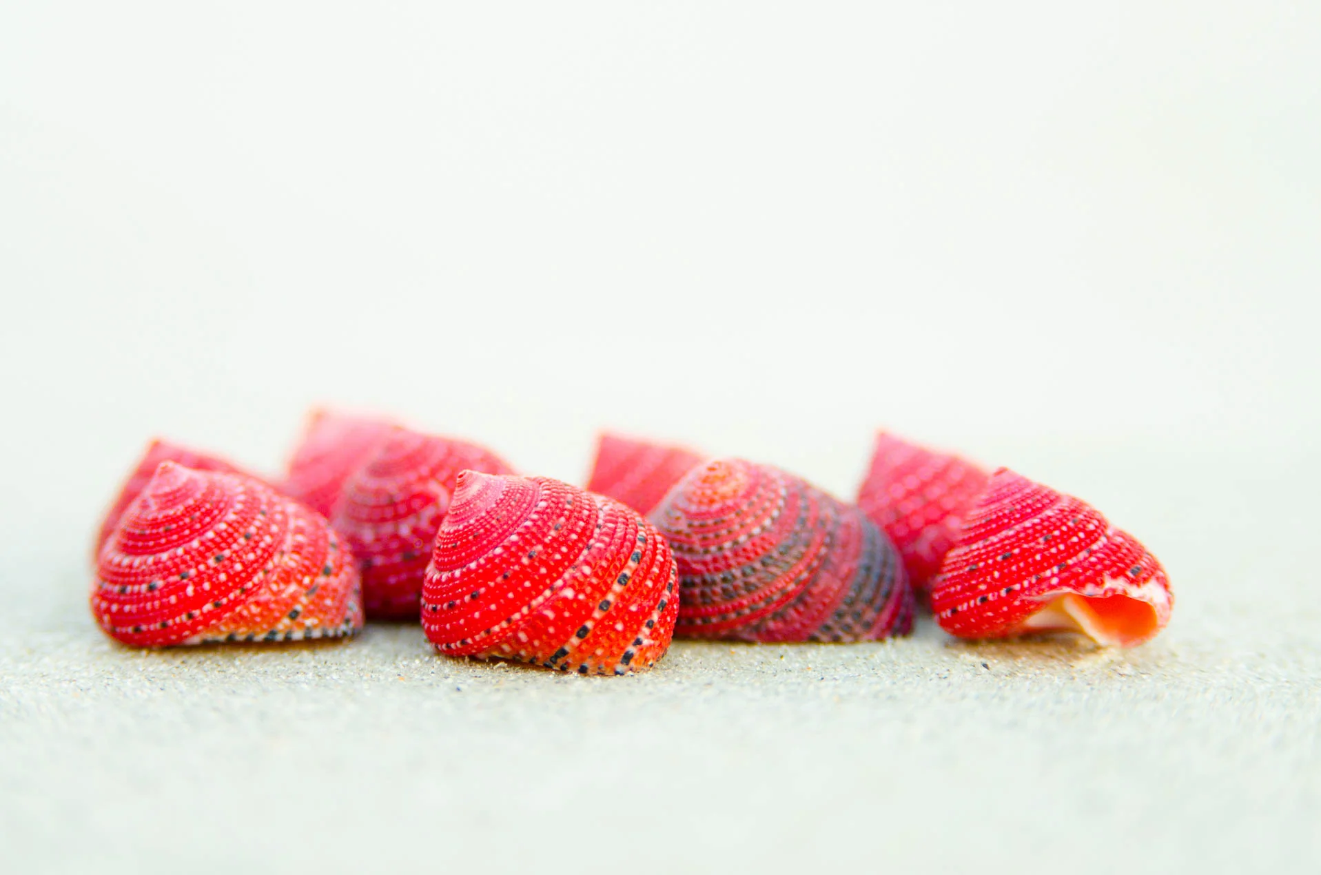 Strawberry Cones_0918