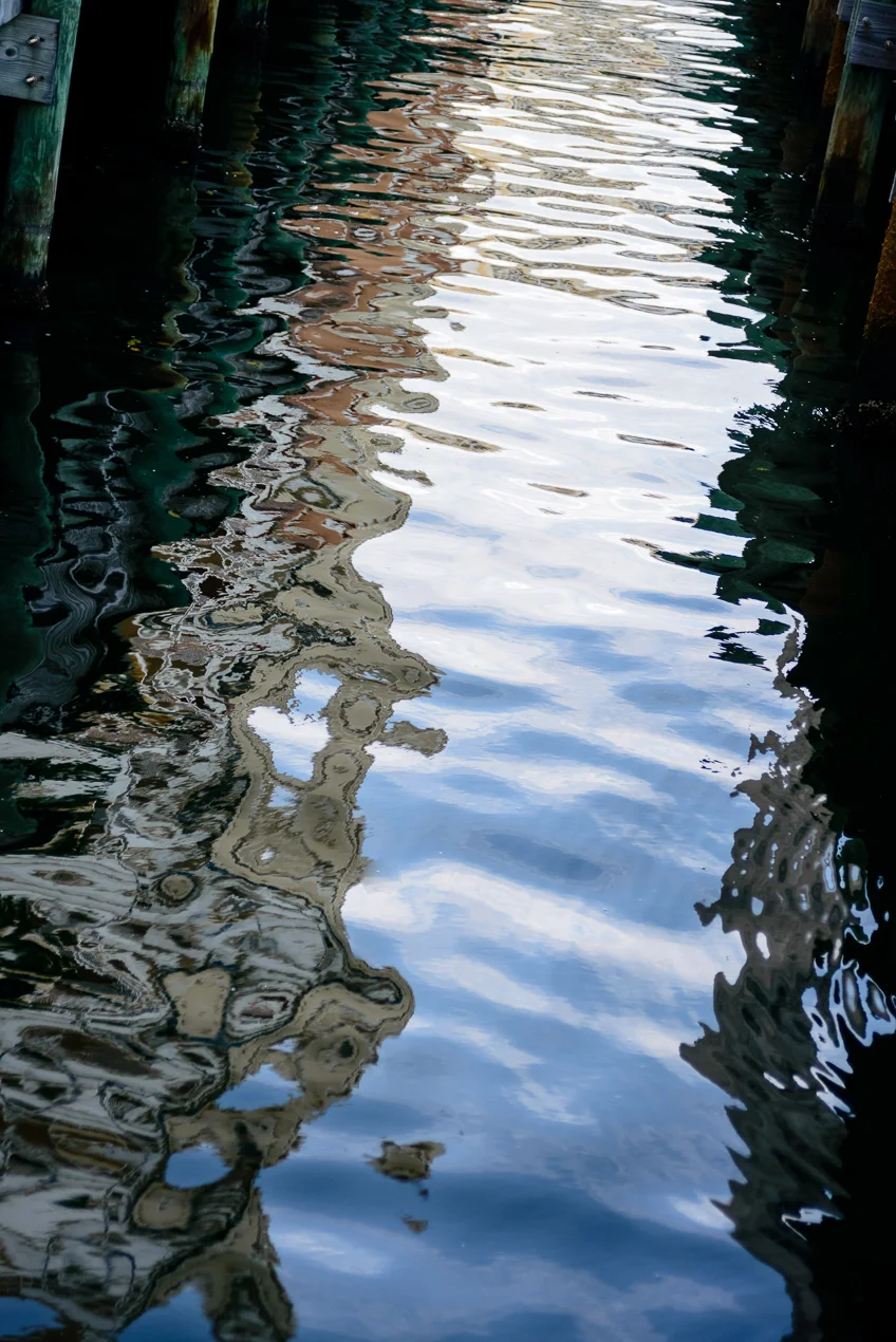 Reflection_0525.jpg