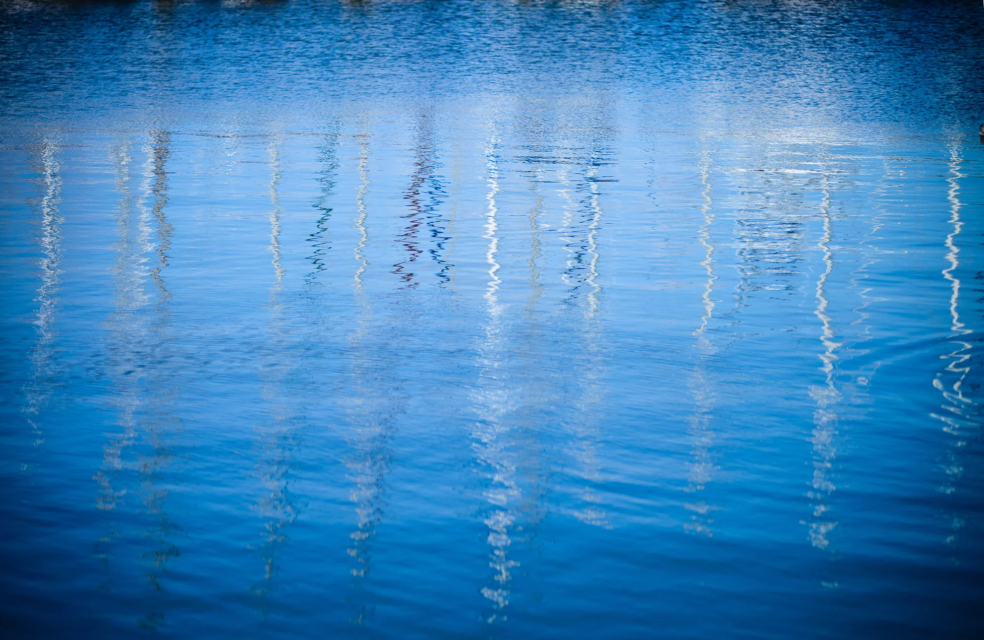 Reflection_9104.jpg