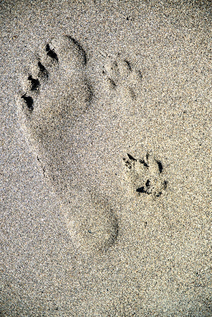Footprints_3434