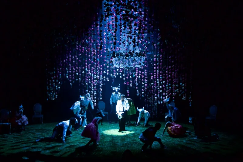 MuchAdo-007_800.jpg