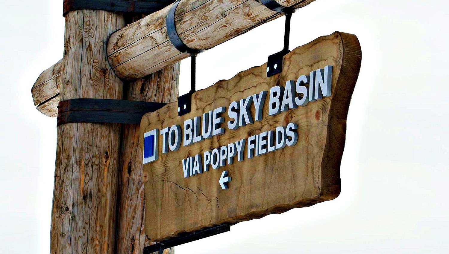BLUE SKY BASIN @ VAIL, COLORADO