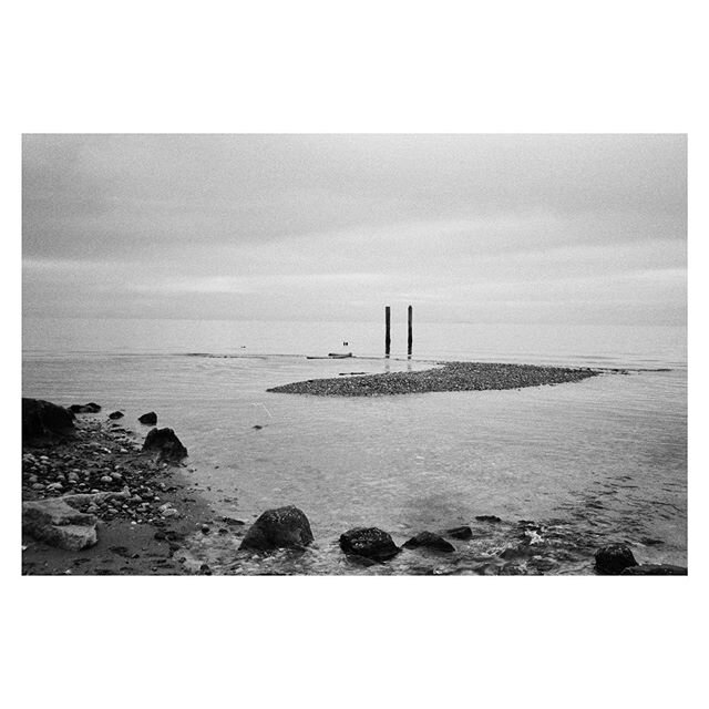 Shoreline || WA ・
・
・
・
#olympusxa #ilfordhp5 #35mmfilm #35mm #burbsonfilm #boxspeedfeature #westcoastmodern #pnw #minimalzine #lekkerzine #archivecollectivemag #ourmomentum #oftheafternoon #minimalmood #rentalmag
#thephotomotel #verybusymag #paperjo