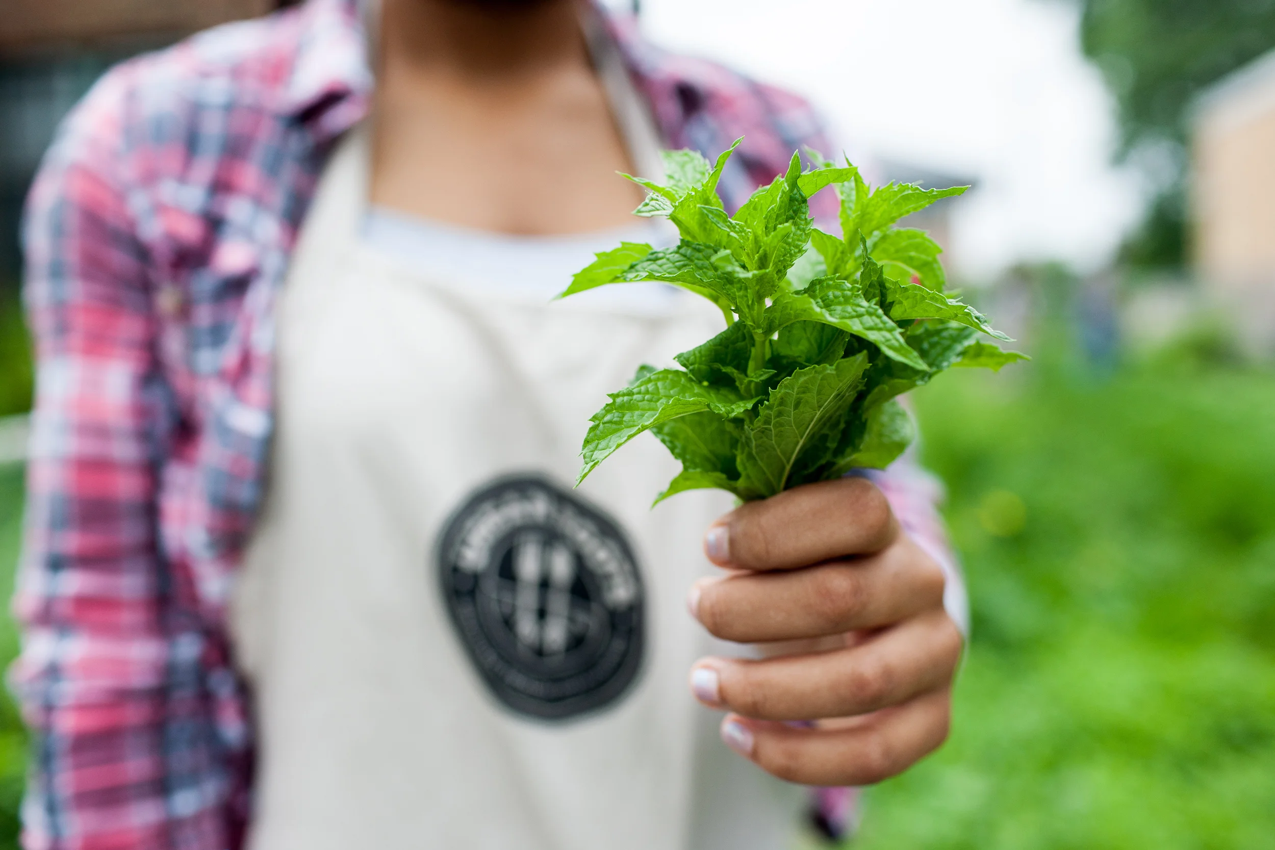 Urban Roots Saint Paul Minnesota Emma Freeman Photography - youth gardening