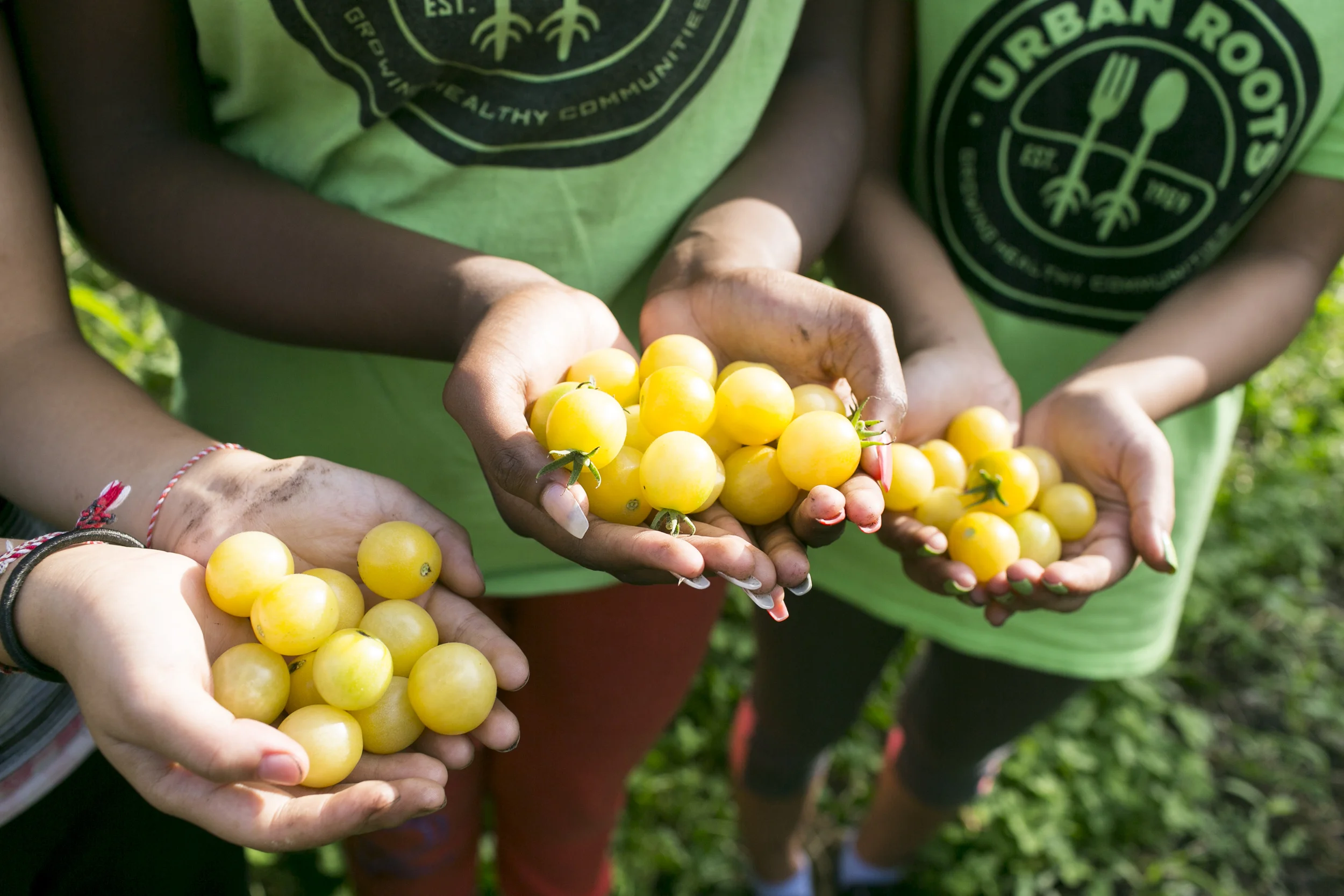 Urban Roots Saint Paul Minnesota Emma Freeman Photography youth gardening