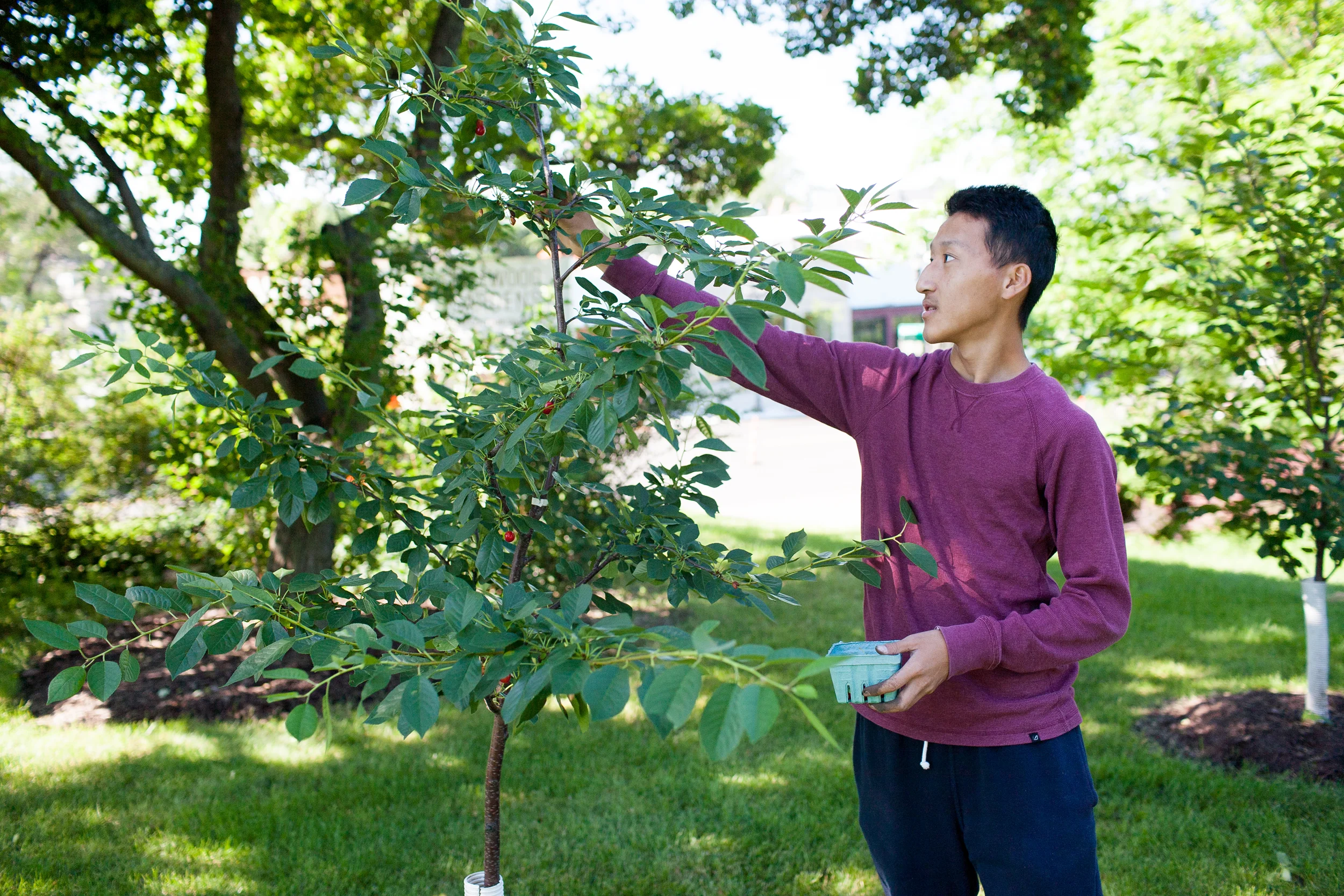 Urban Roots_017.jpg