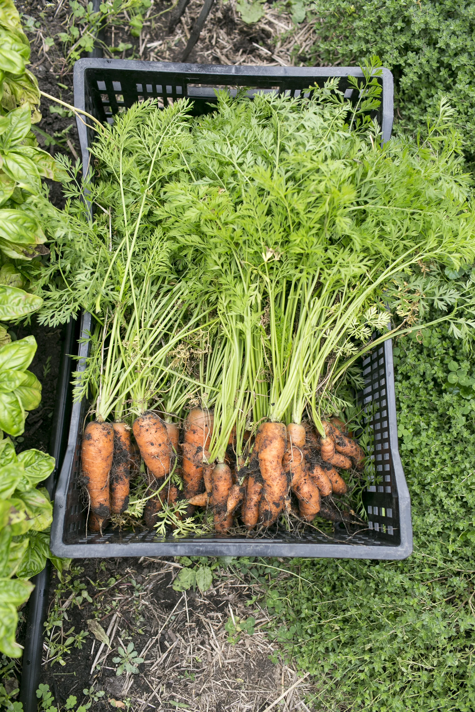 Urban Roots_022.jpg
