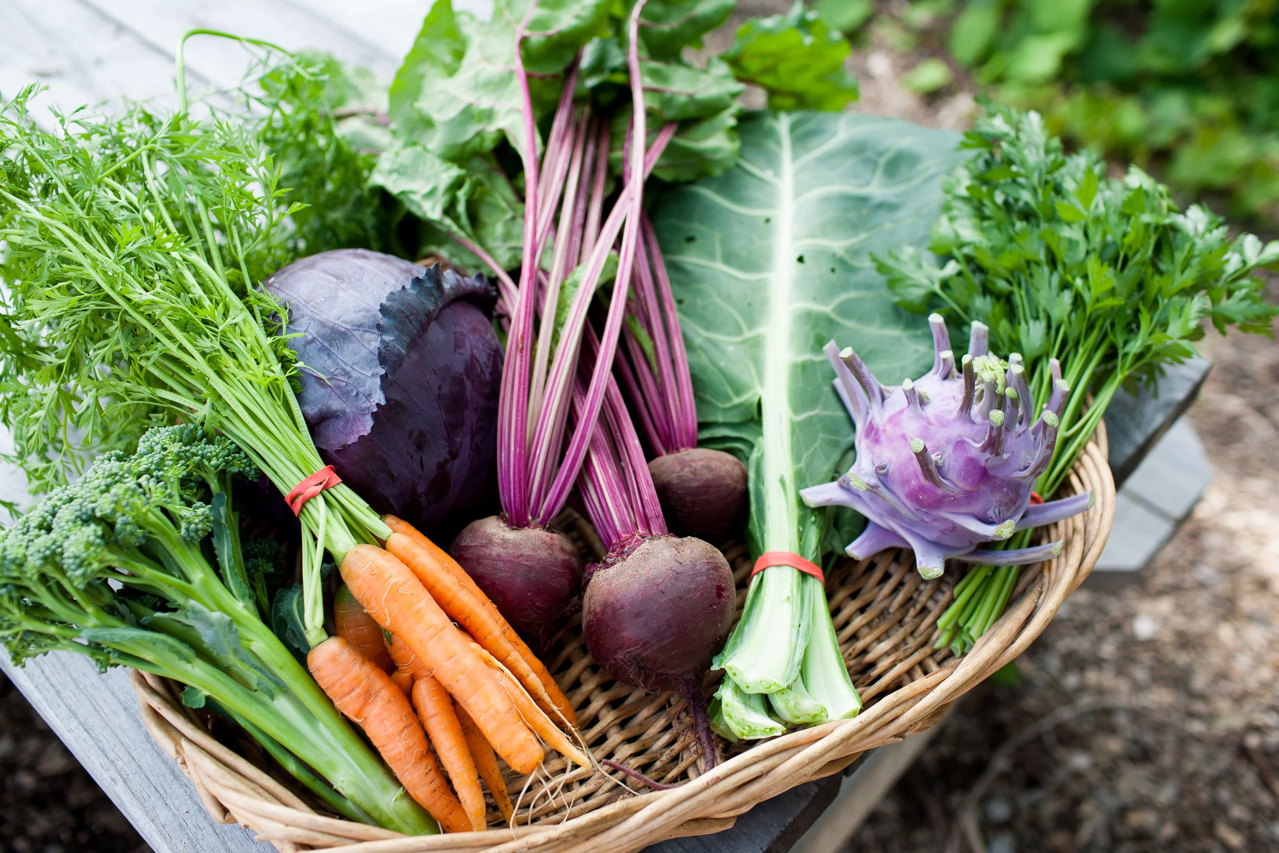 Urban Roots_039.jpg