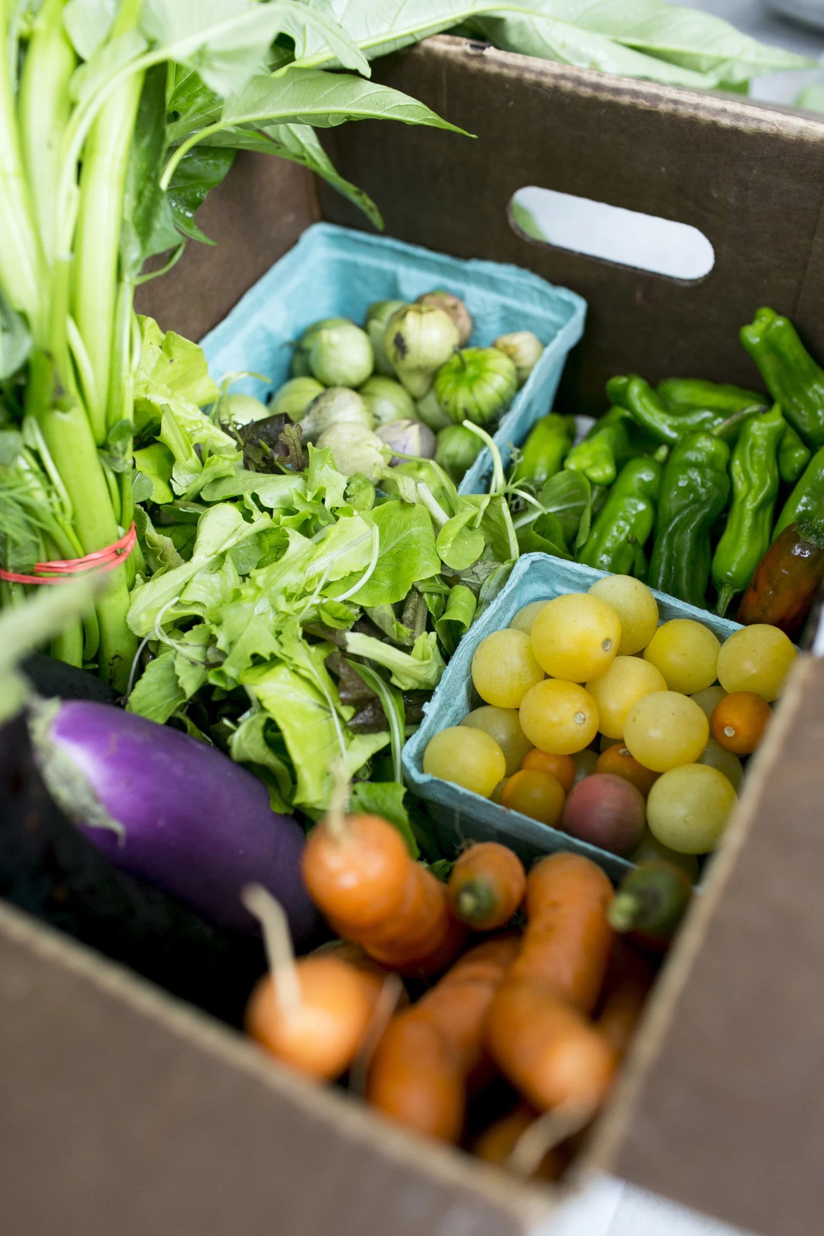 Urban Roots_040.jpg