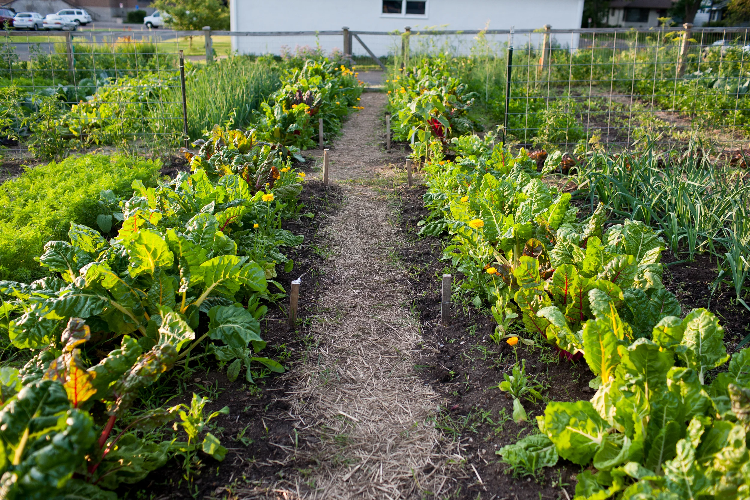Urban Roots_047.jpg