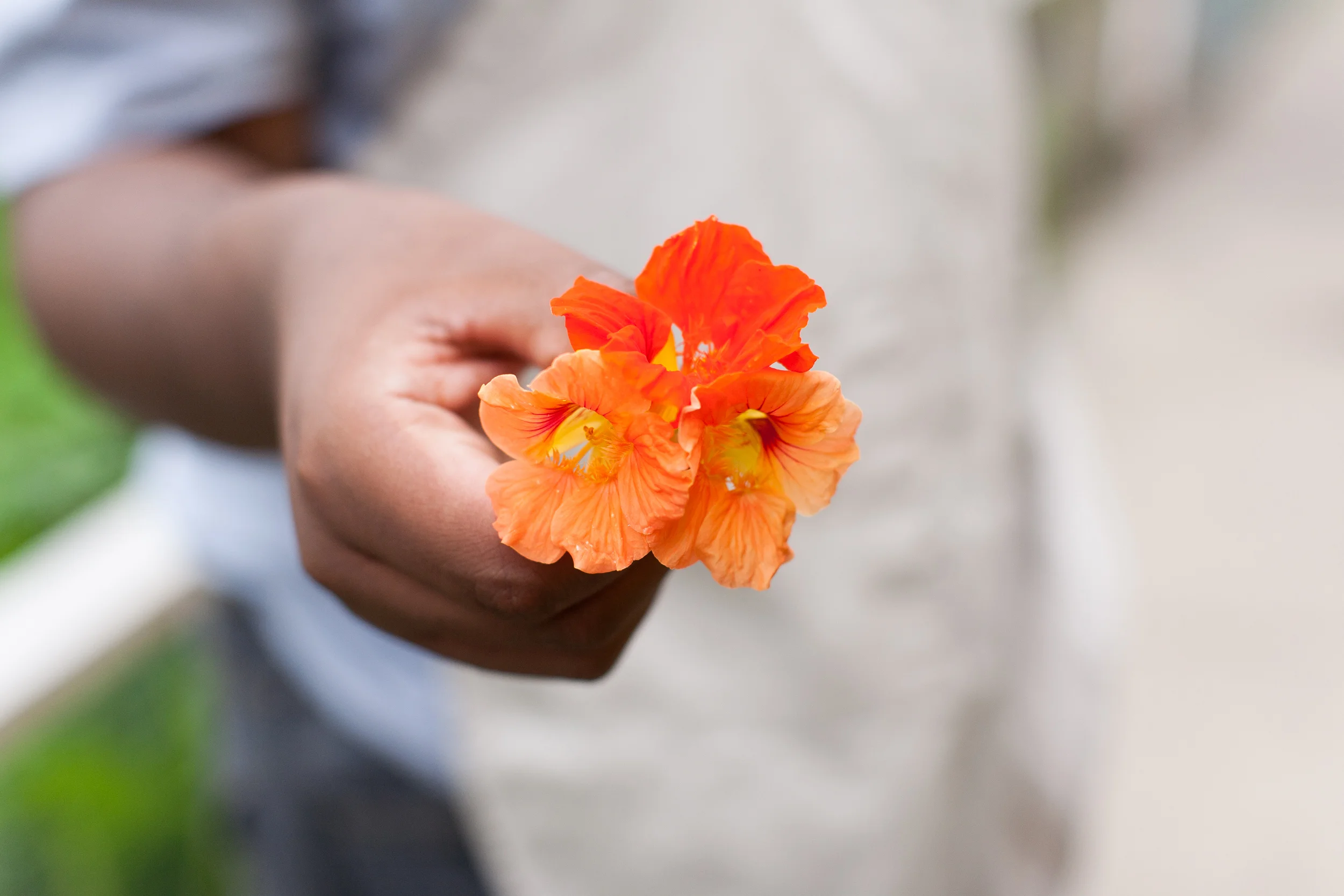 Urban Roots_053.jpg