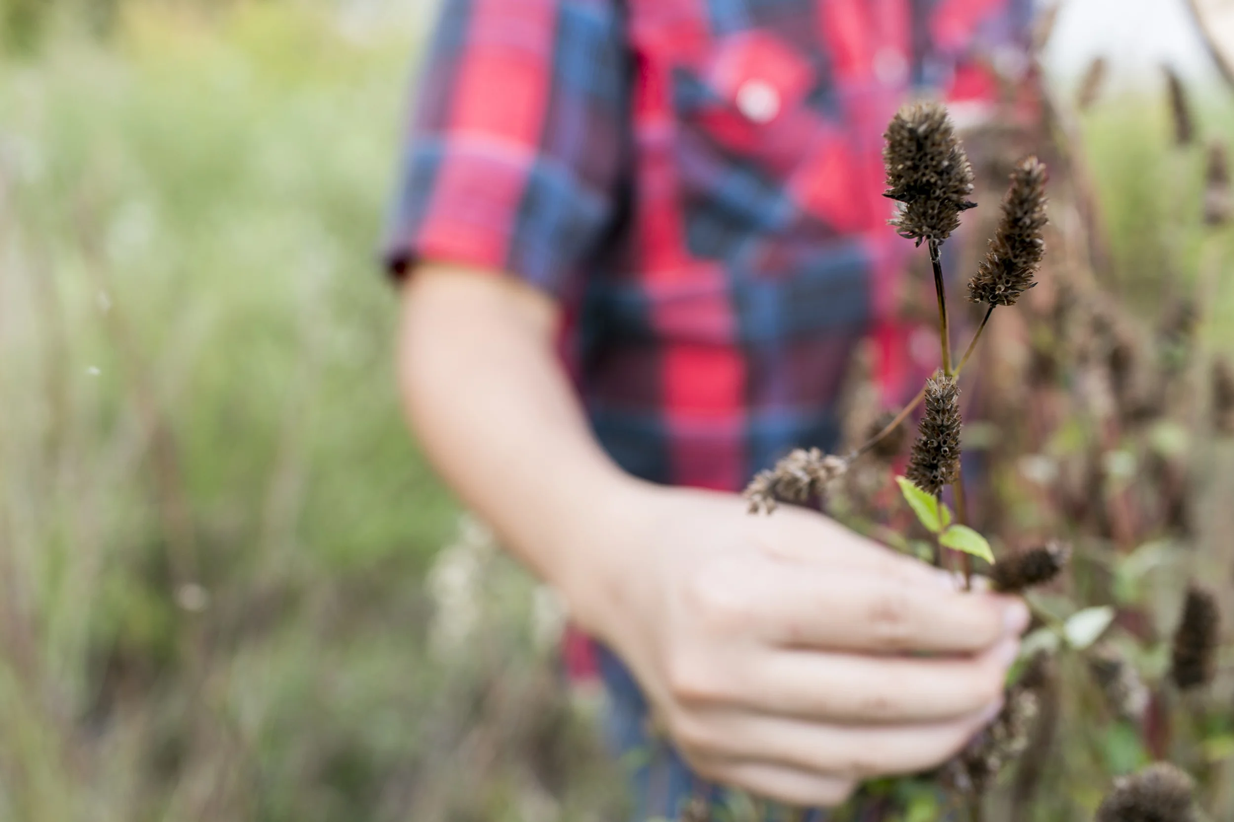 Urban Roots_078.jpg
