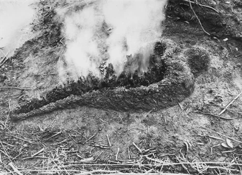 Ana Mendieta Silueta series, 1980