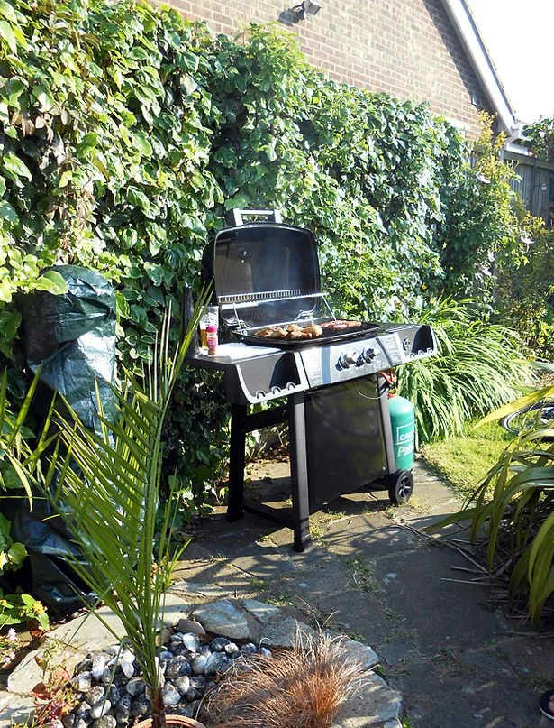 Fancy a sausage or a burger? The 2 burner gas grill from Wilko