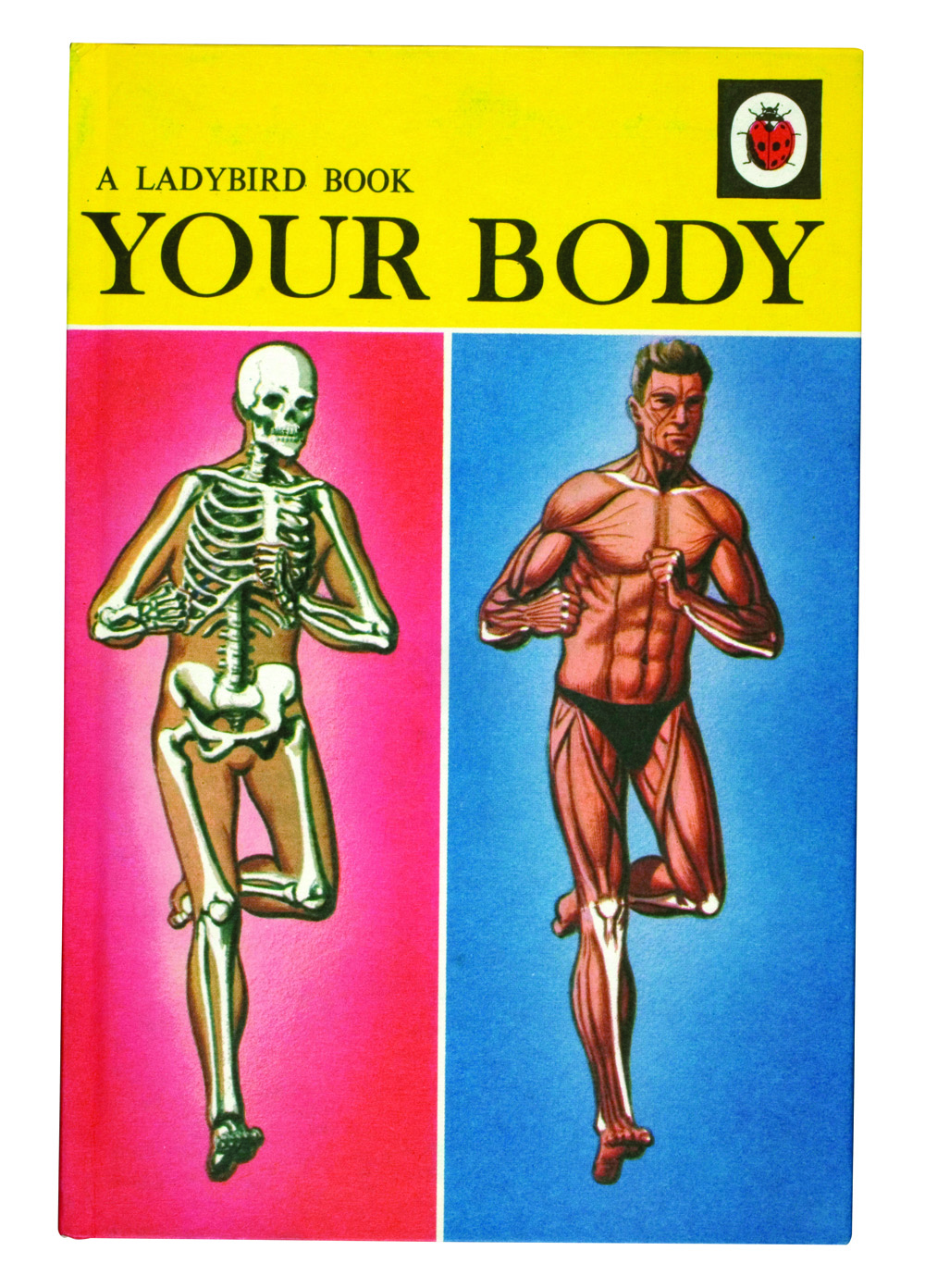  © Ladybird Books Ltd