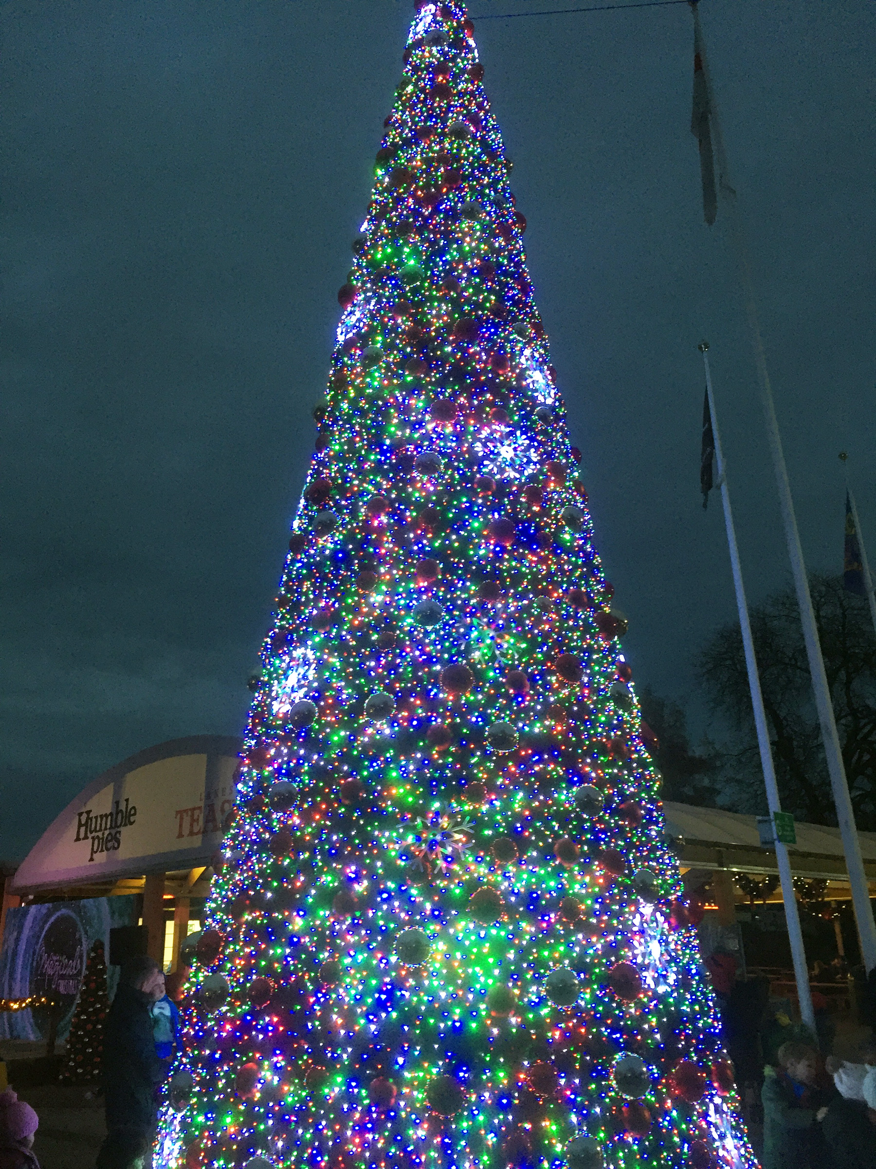 The beautiful Christmas tree