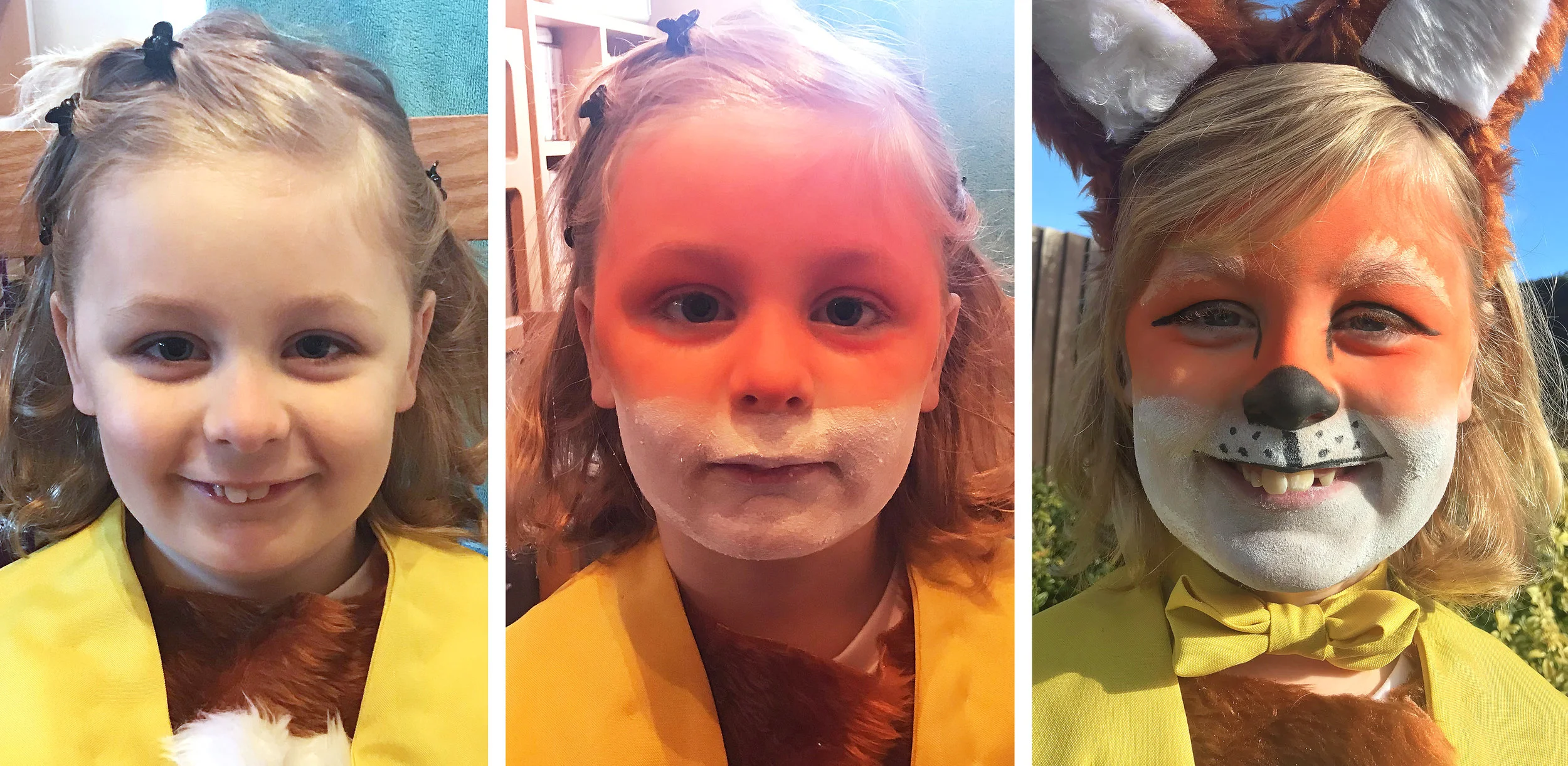 Before, during and after. Bringing Fantastic Mr Fox to life with Snazaroo face paint for World Book Day.